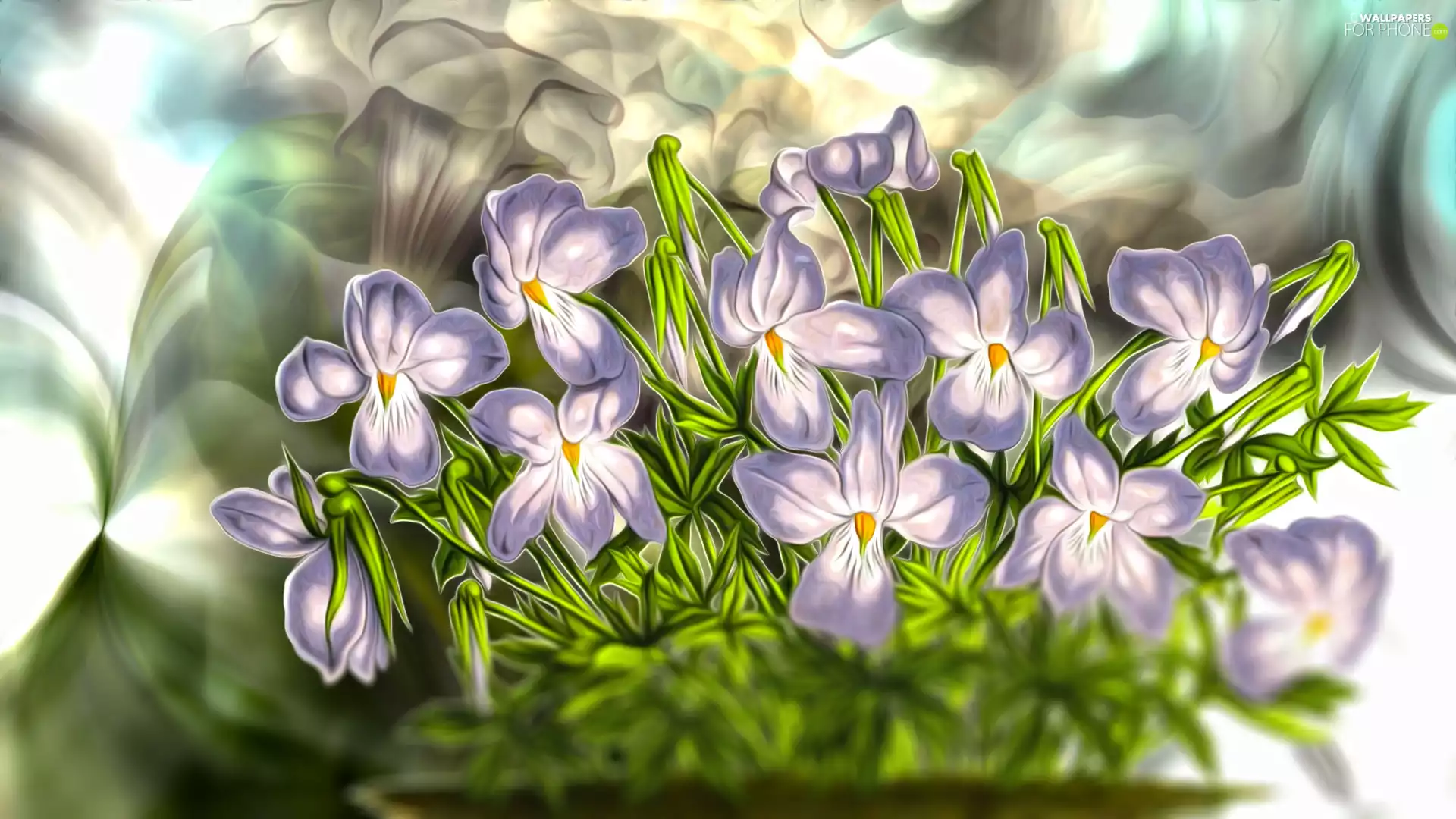 Flowers, cluster, graphics, Field Pansy