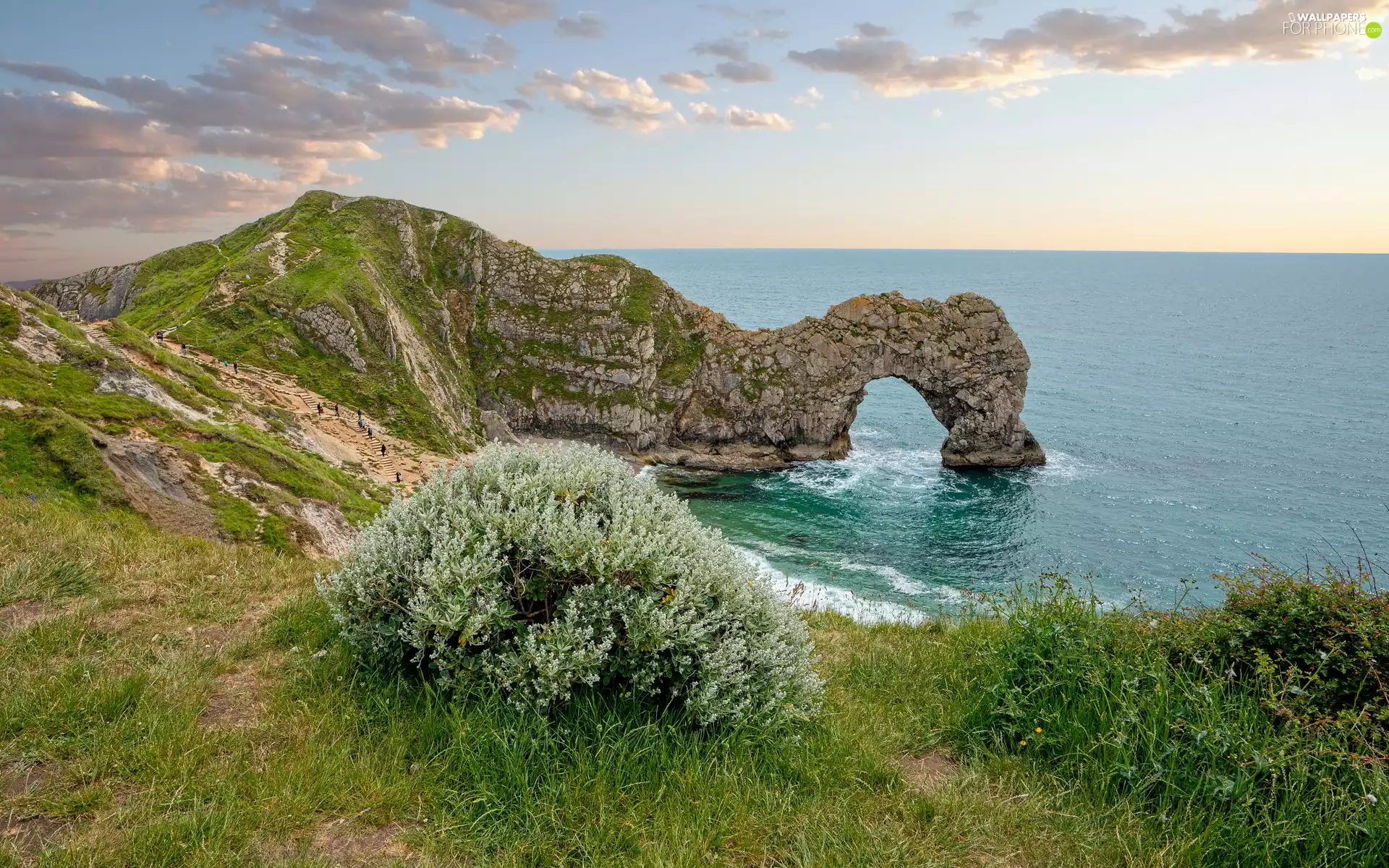 Plants, Rocks, England, Limestone Durdle Door, County Dorset, Jurassic Coast, sea, clouds