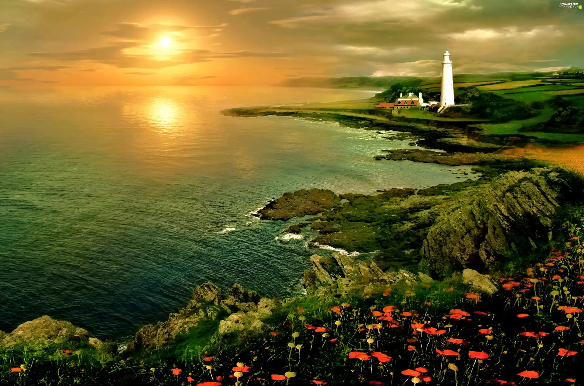 Lighthouse, west, Coast, Flowers, maritime, sun