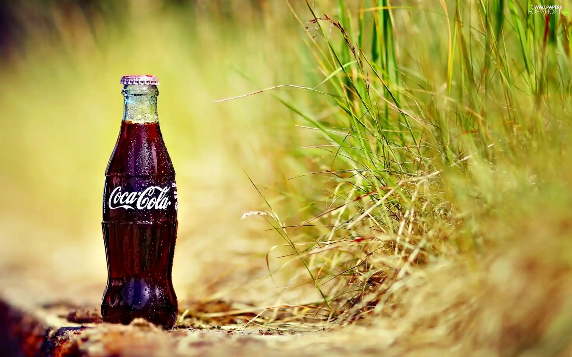 grass, Bottle, Coca Cola