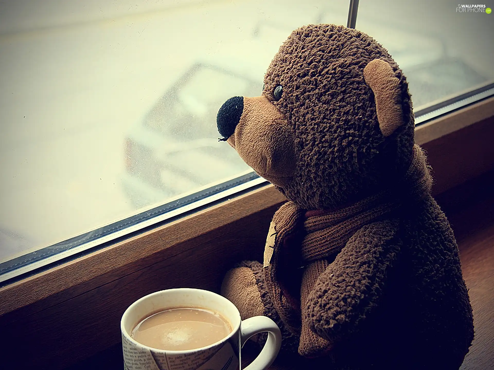 coffee, teddybear, Window