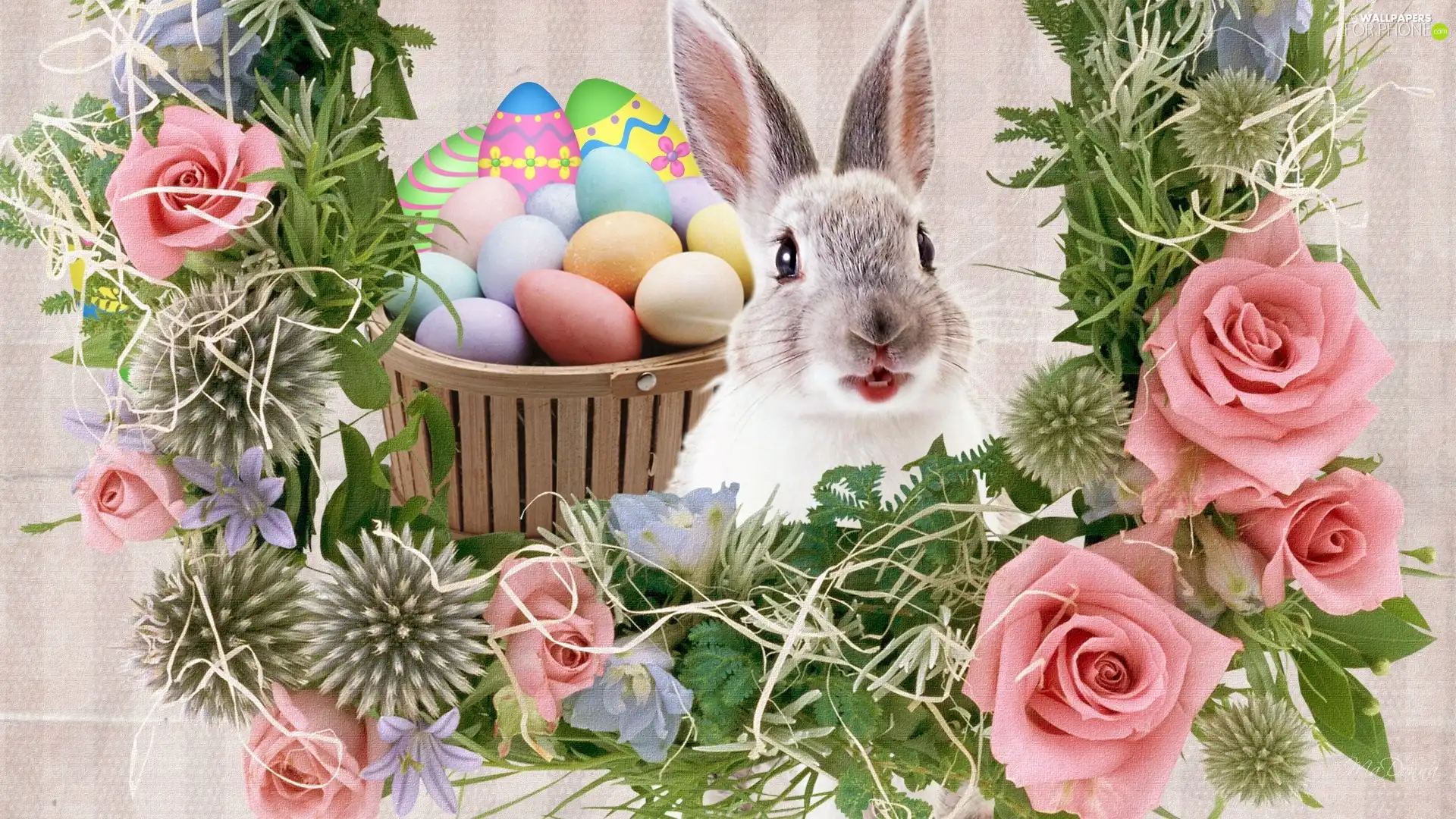 Easter, Flowers, color, color