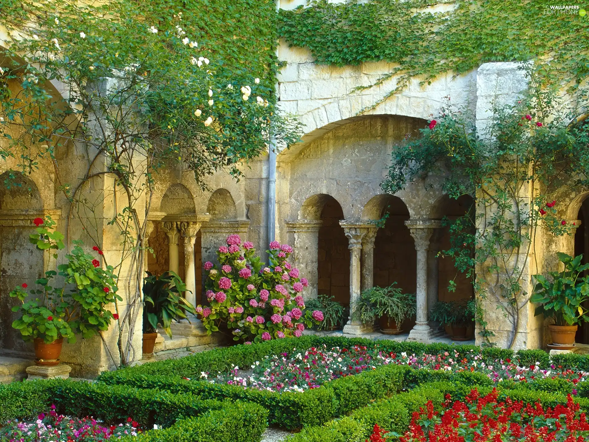 color, Flowers, France, Garden, Cloister