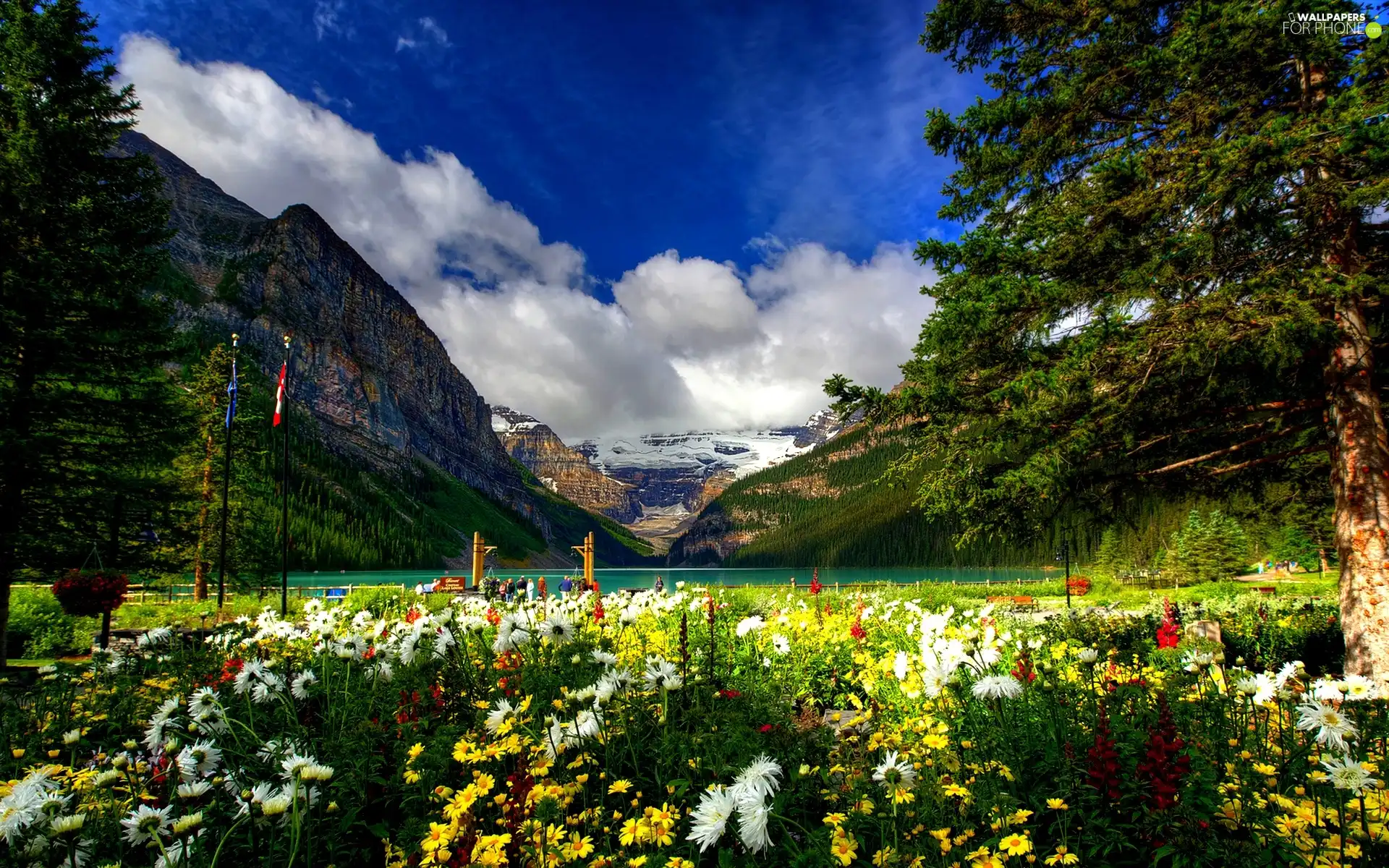 color, Flowers, lake, Park, Mountains