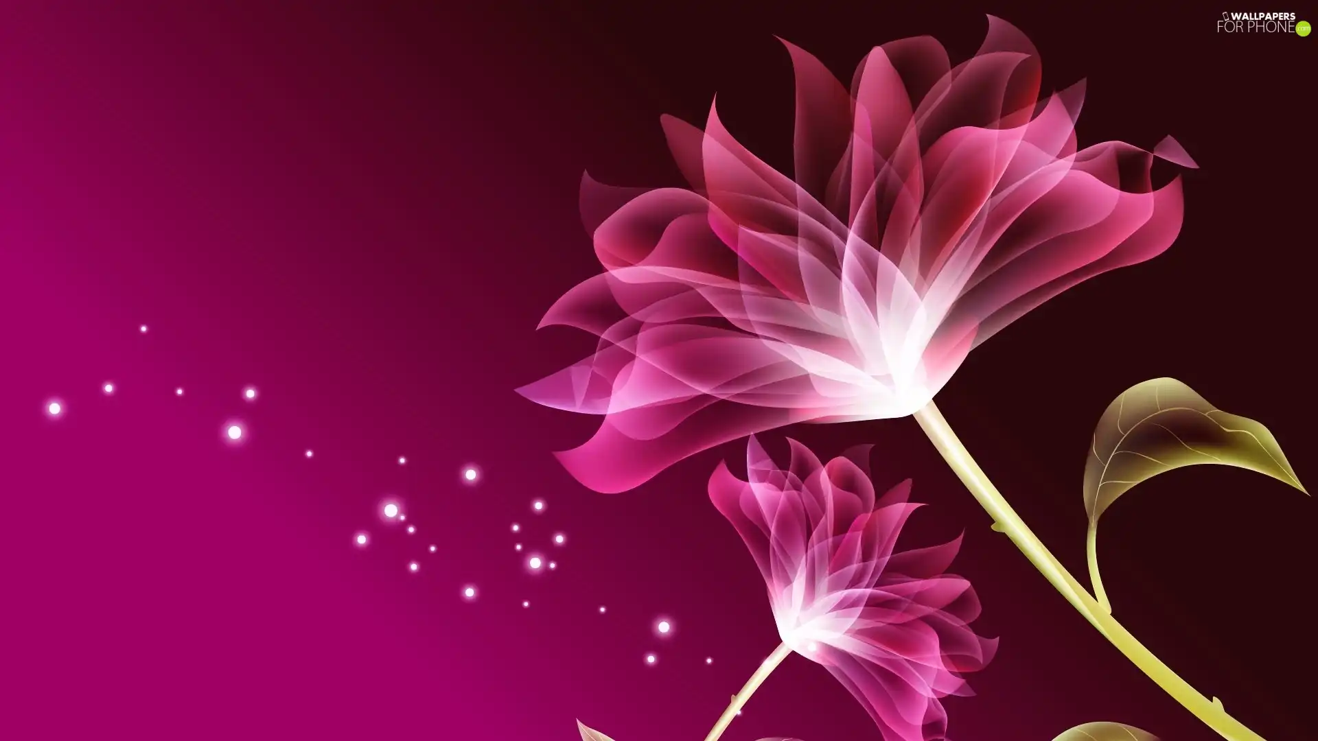 2D, purple, Colourfull Flowers