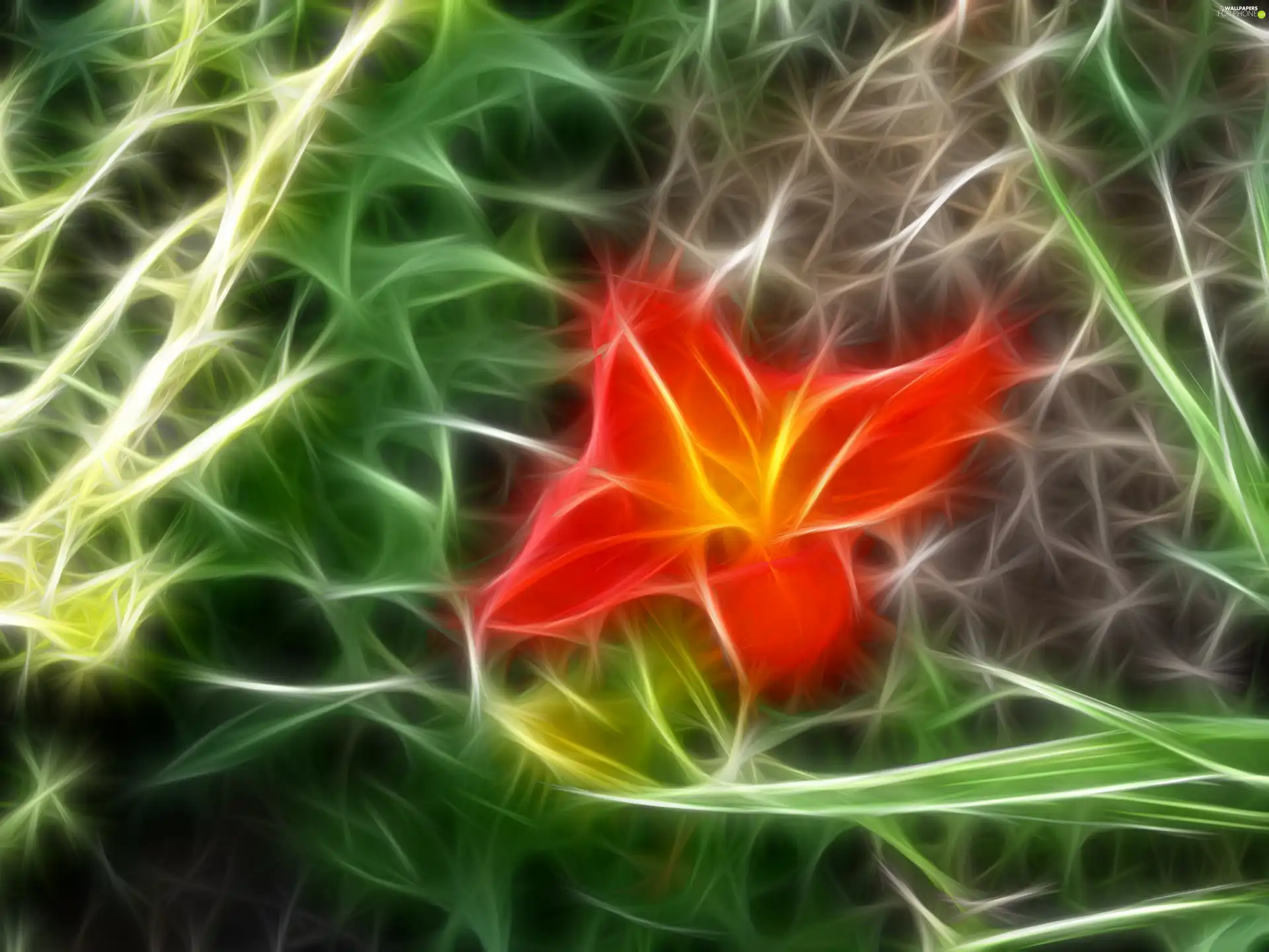 Fraktal, Red, Colourfull Flowers