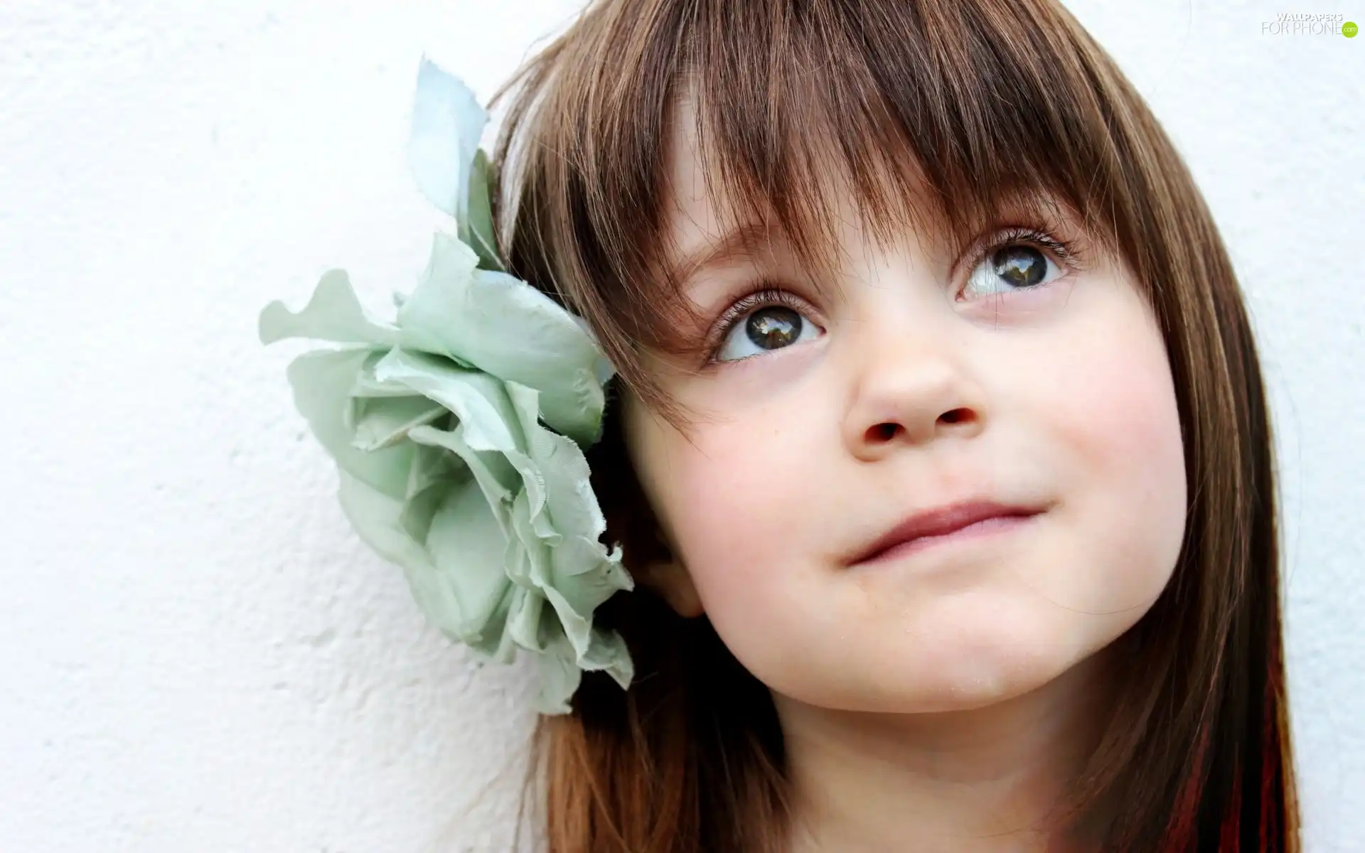 girl, blue, Colourfull Flowers, Smile