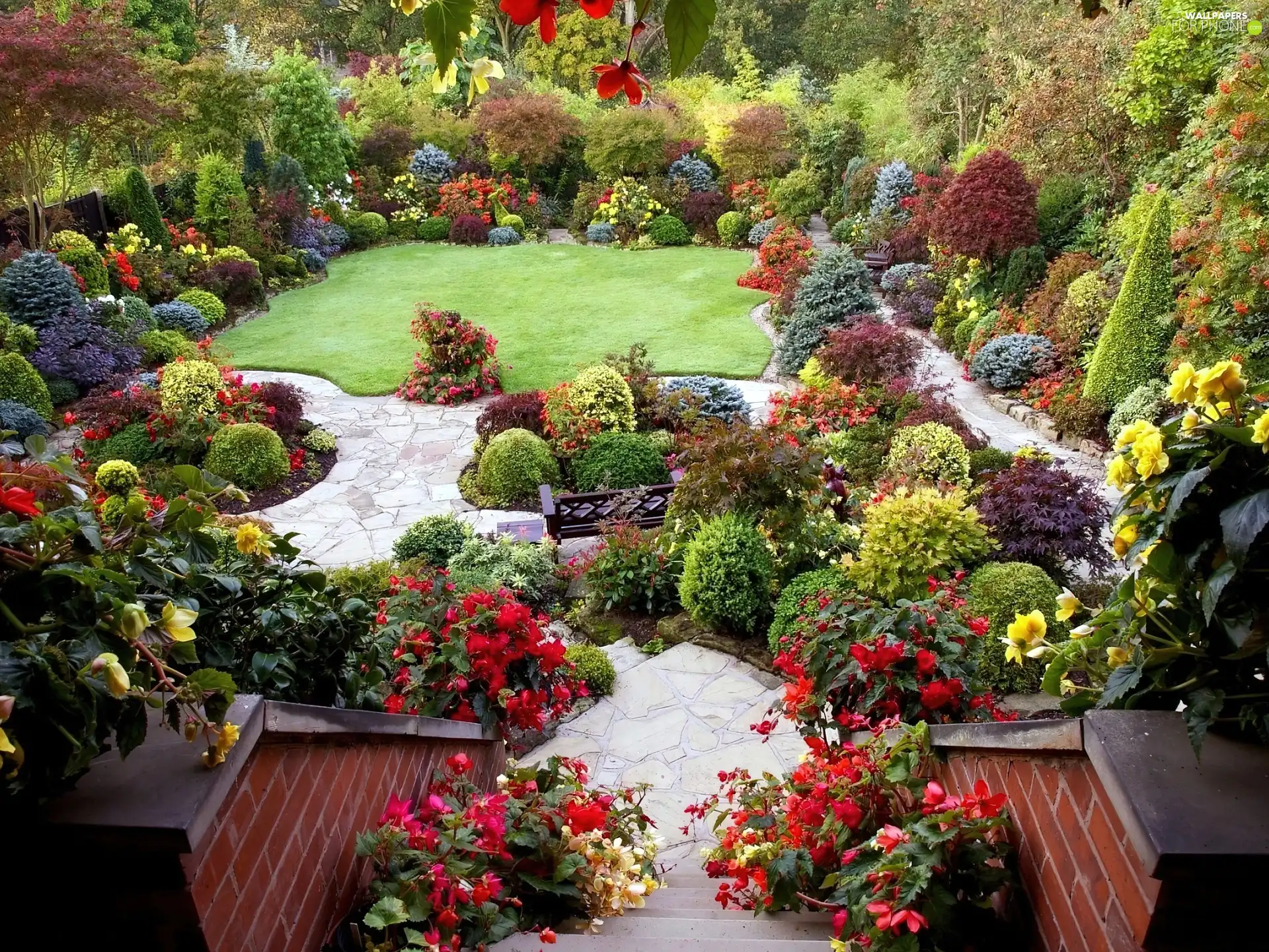 Stairs, Garden, Colourfull Flowers, color