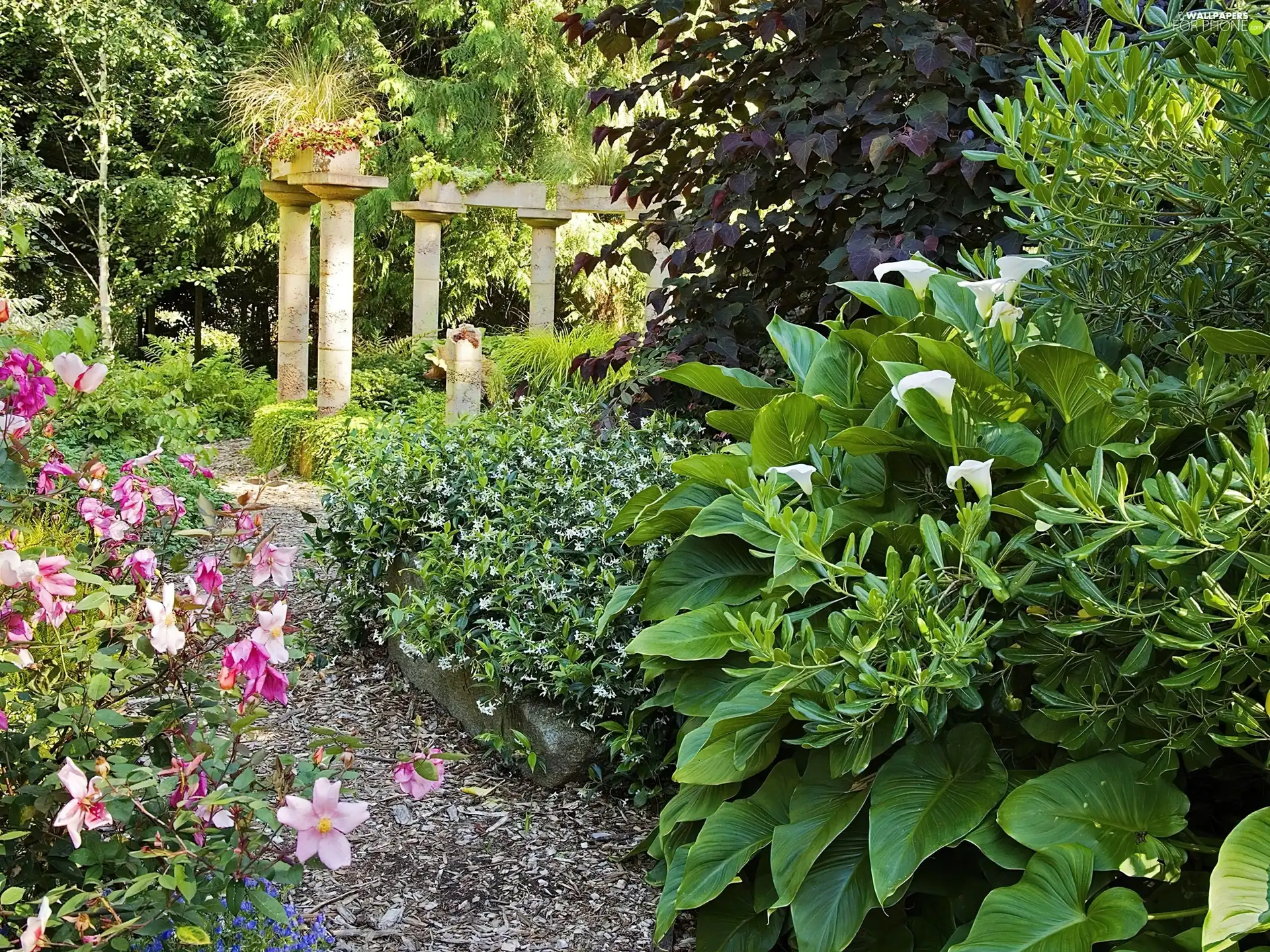 Garden, Path, column, Flowers