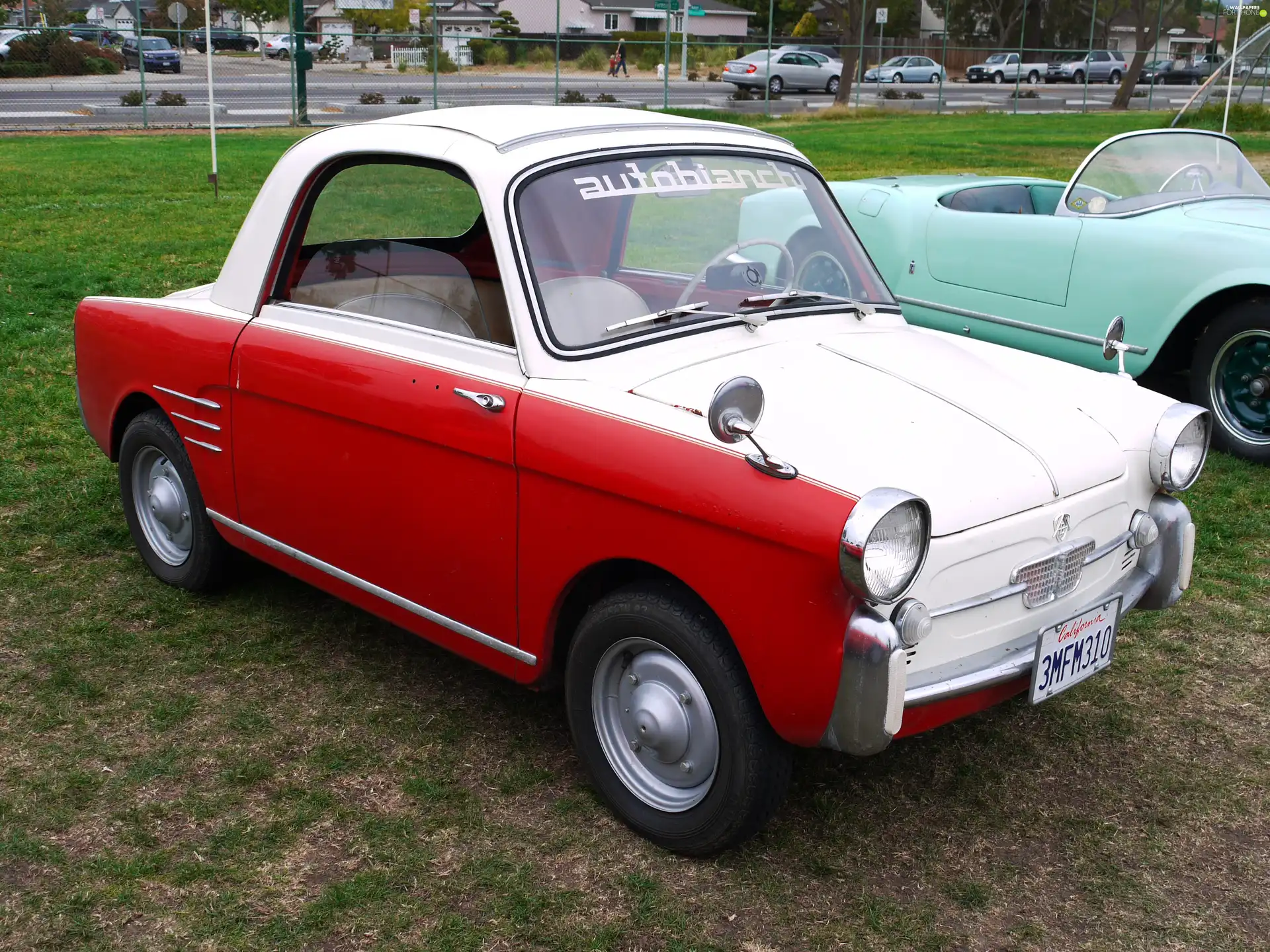 White, Autobianchi Bianchina, commission, Red