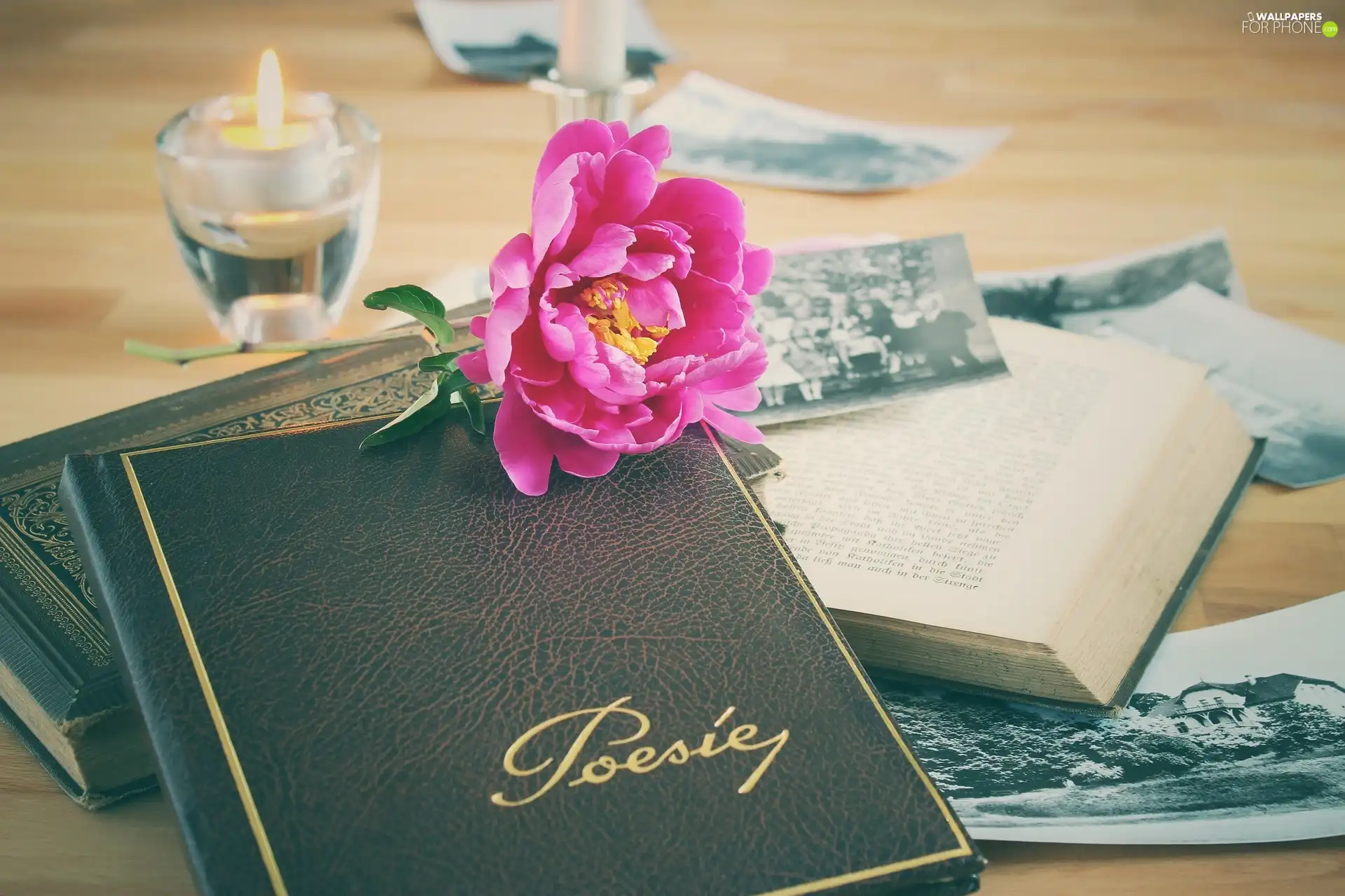 peony, Books, Candle, composition, photos, Colourfull Flowers