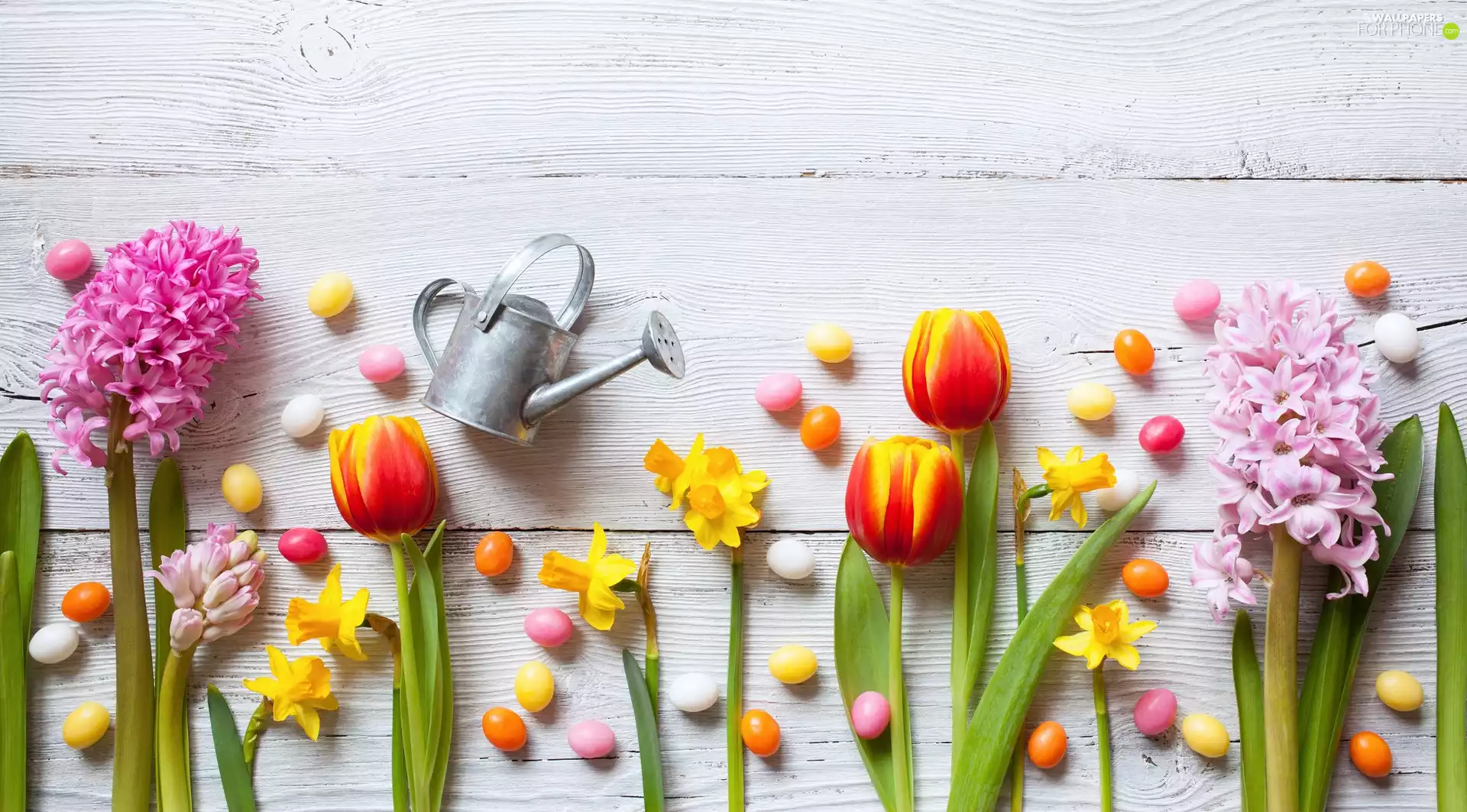 composition, Easter, Flowers, Hyacinths, watering can, boarding, Tulips, eggs, Jonquil