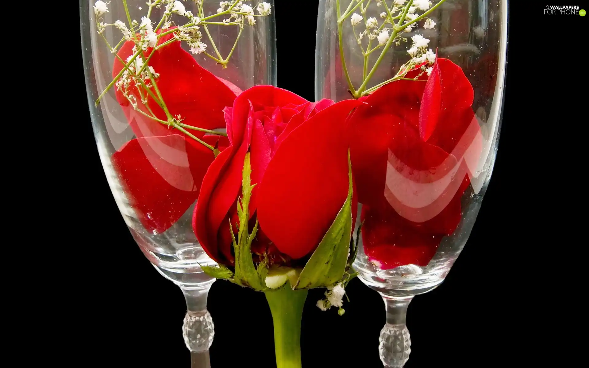 composition, rose, glasses