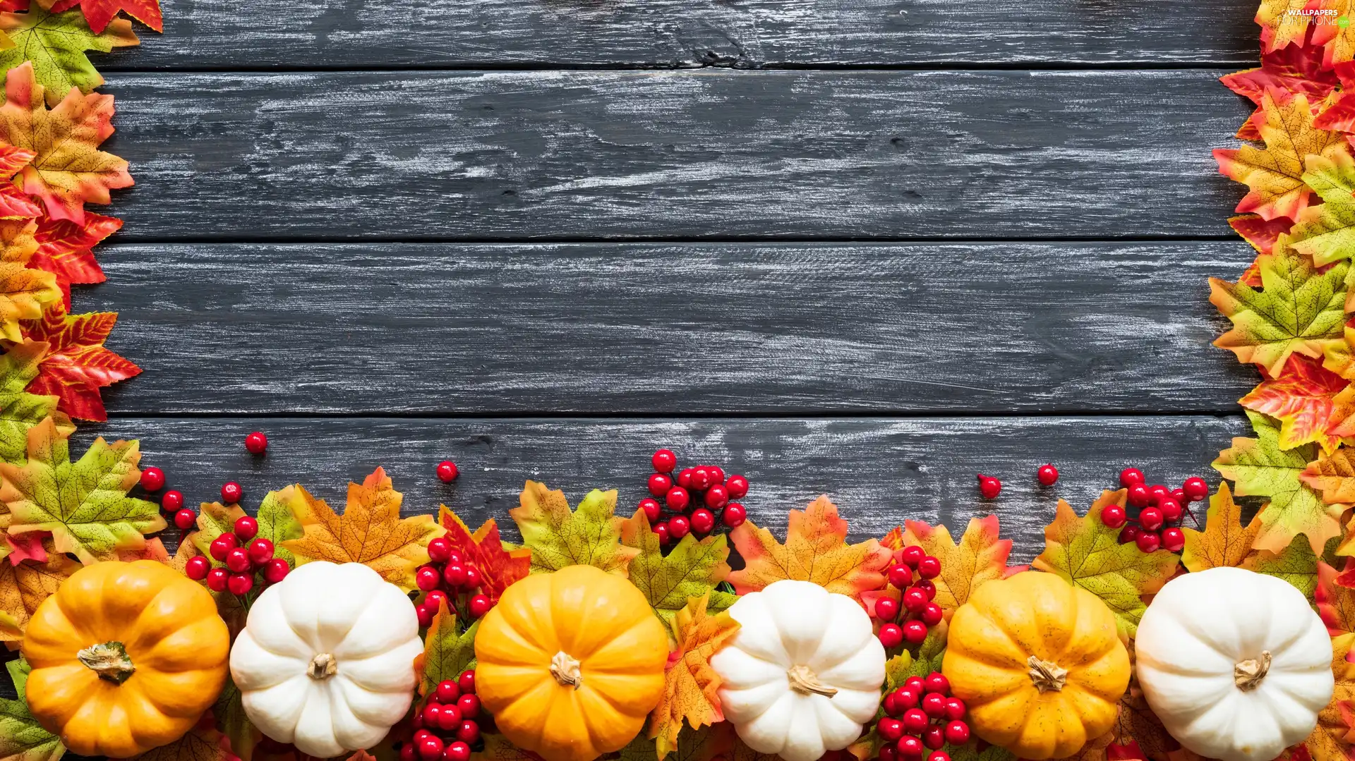 boarding, composition, Leaf, pumpkin, Autumn - For phone wallpapers ...