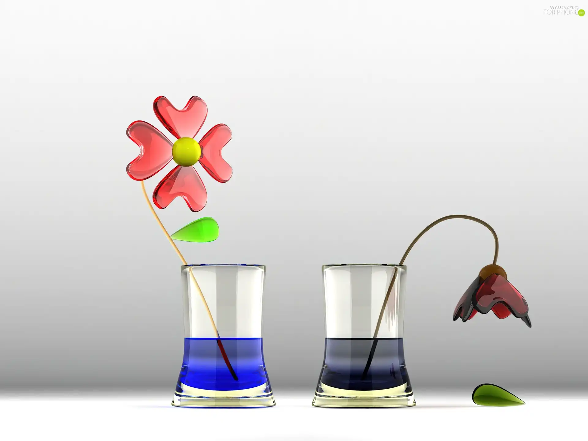 Computer, Flowers, graphics