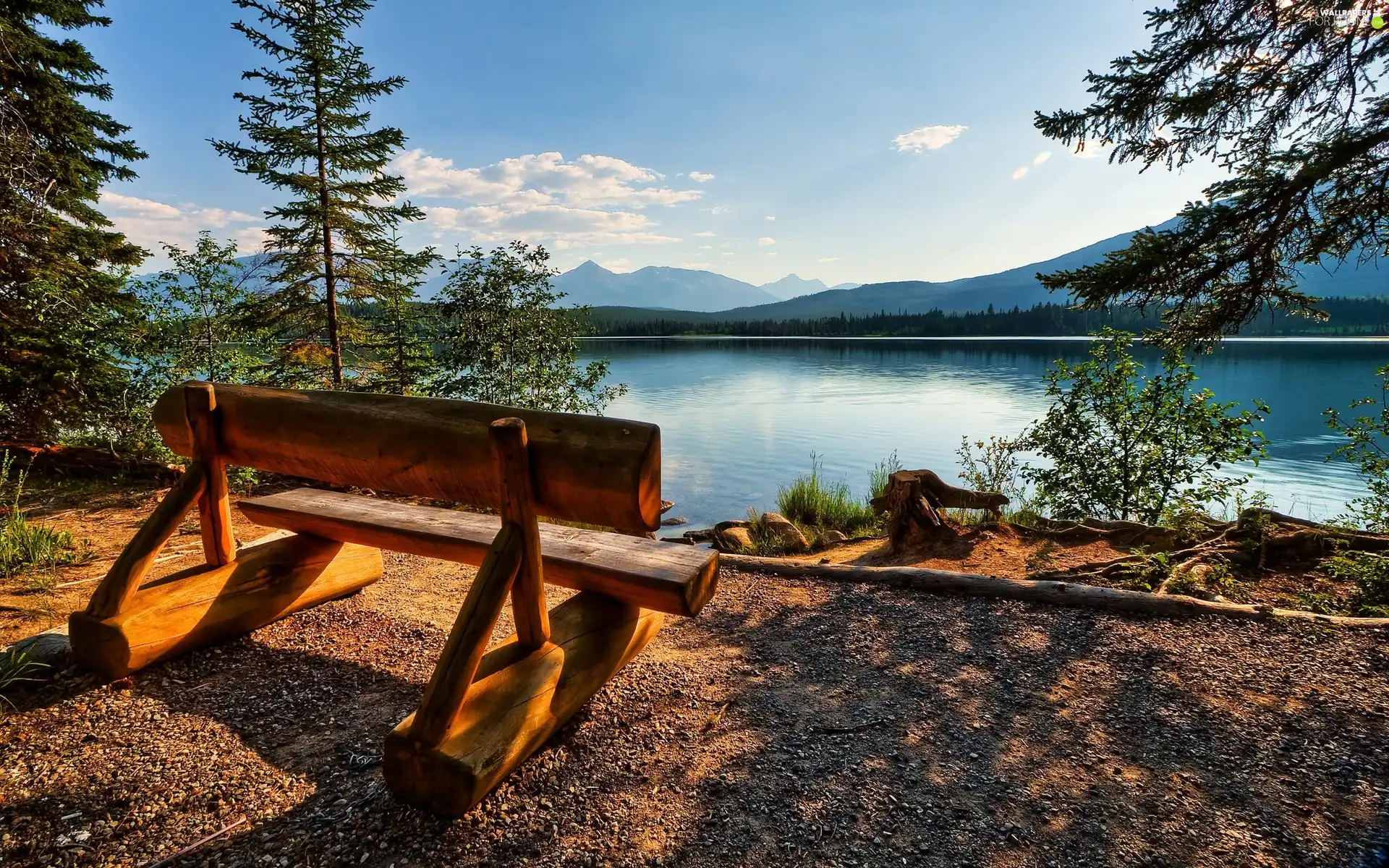 Conifers, Bench, Sky, clouds, lake