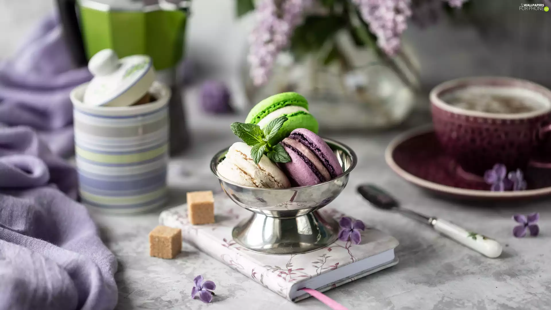 Cookies, Macaroons, Table, cup, sugar-bowl, Bowl, silver, note-book