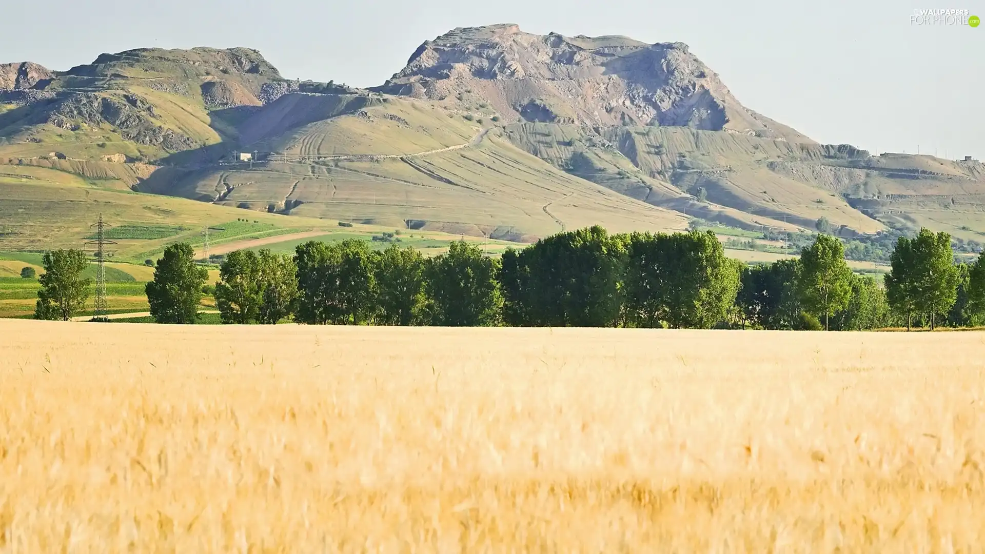 Mountains, viewes, corn, trees