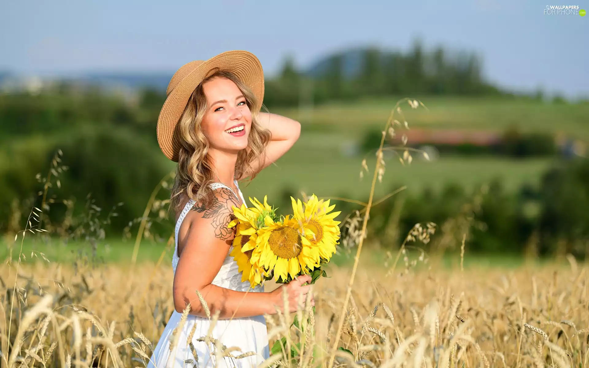 corn, Field, Women, Blonde, dress, Nice sunflowers, Smile, White, Hat