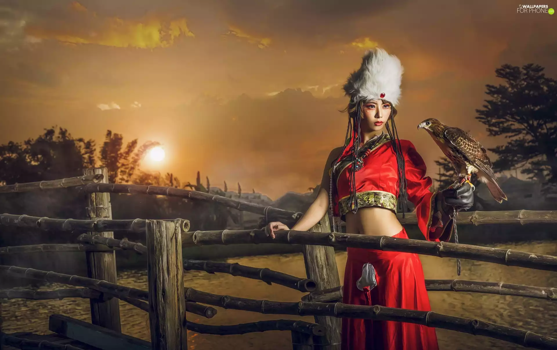 falcon, fence, Hat, Red, fur, Women, Asian, costume