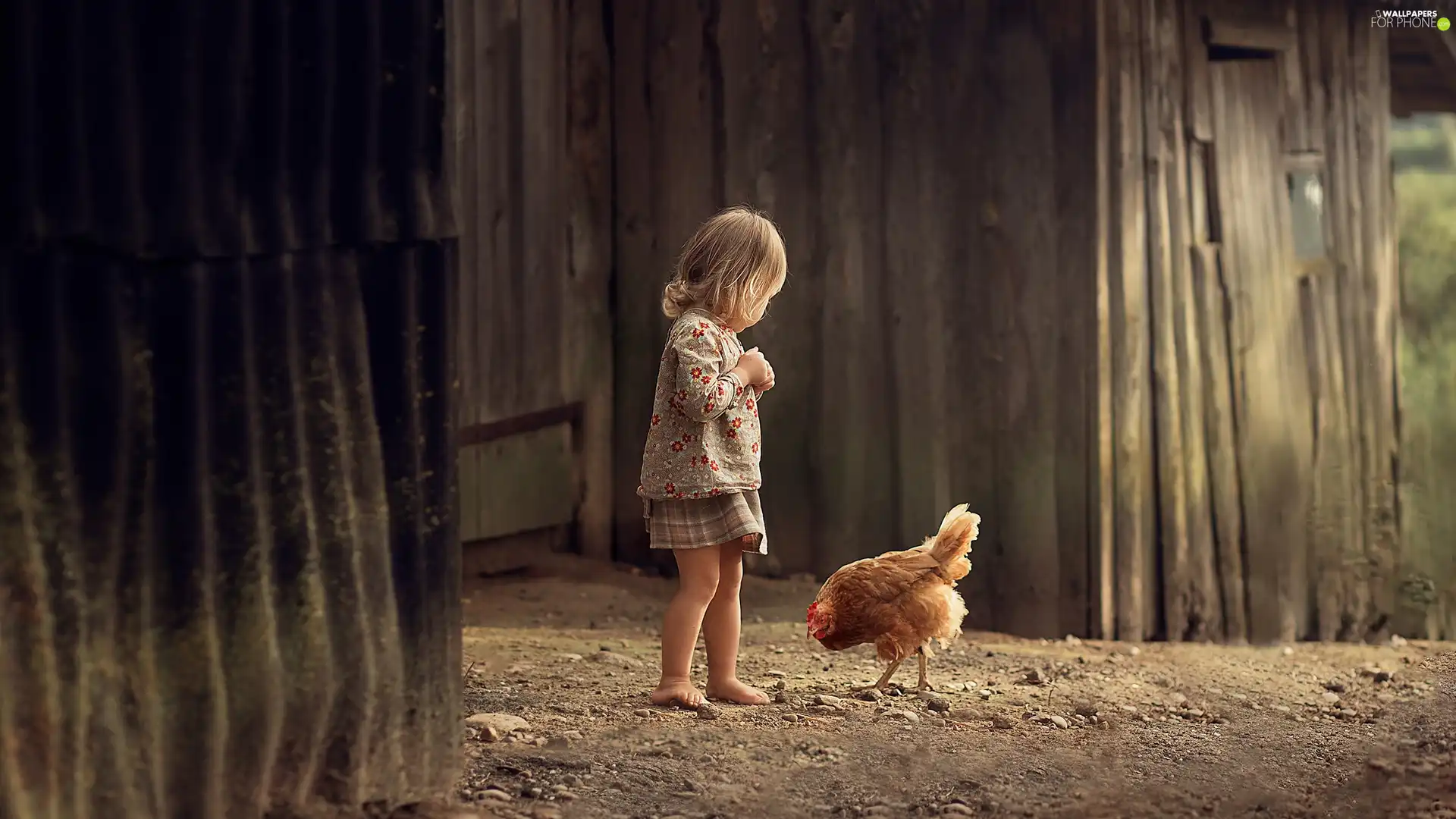 Kid, chicken, cote, girl