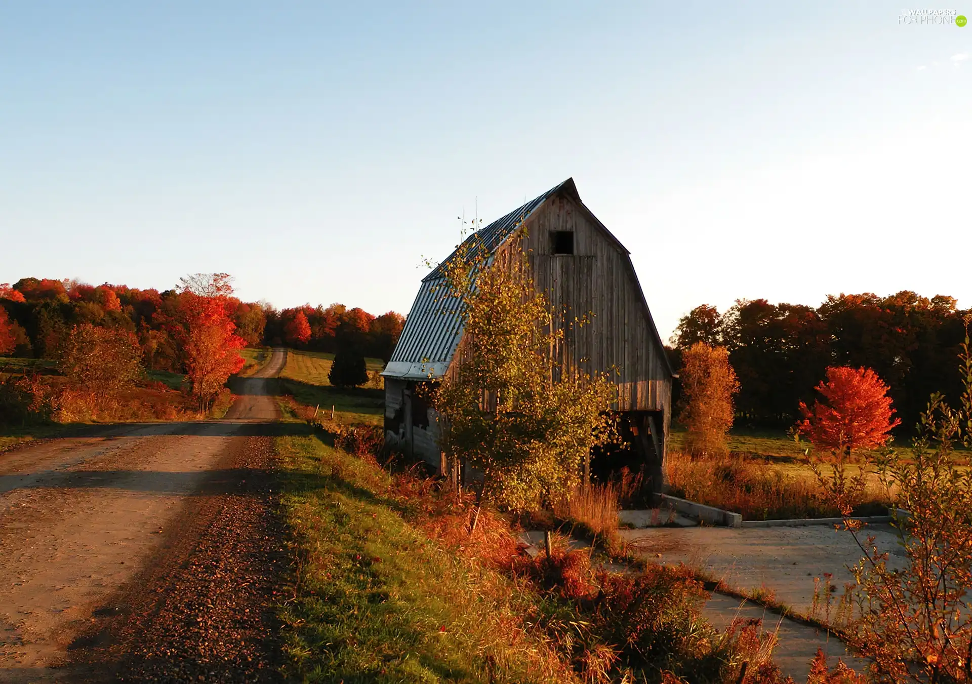 cote, autumn, Way