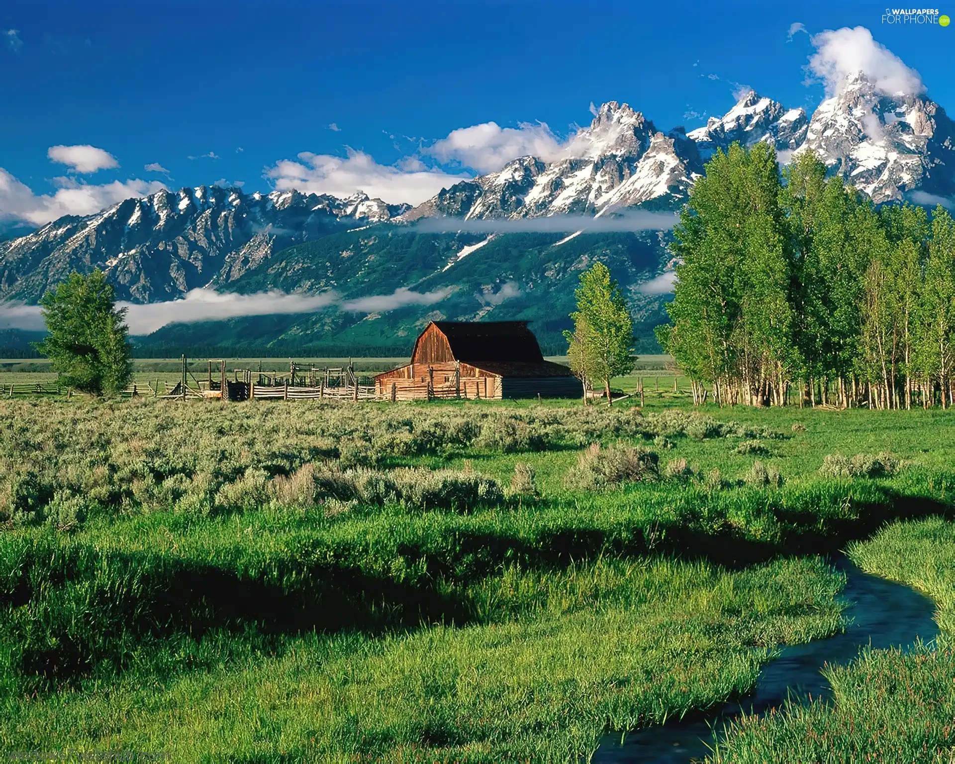 Cottage, Mountains, Meadow