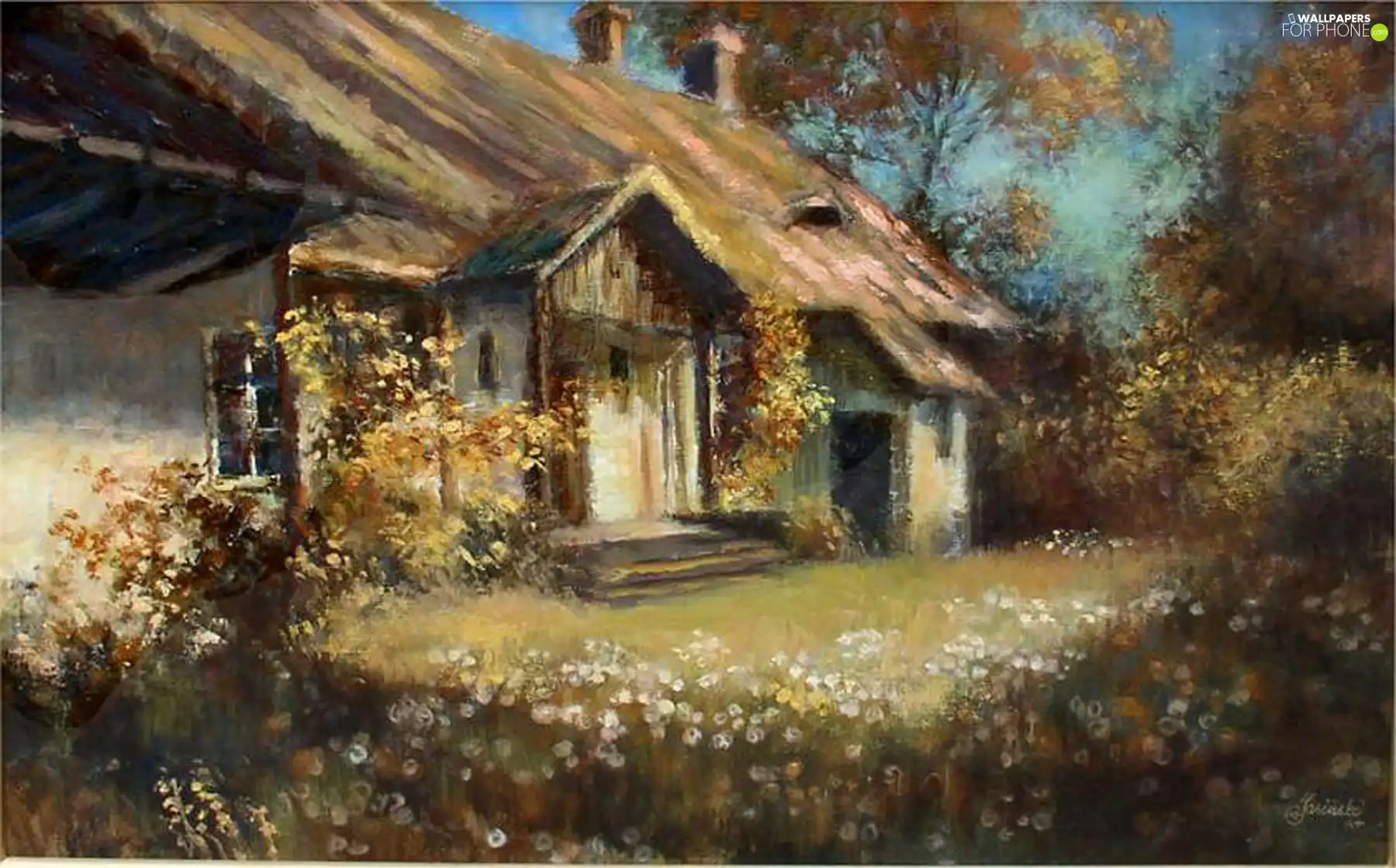 cottage, country