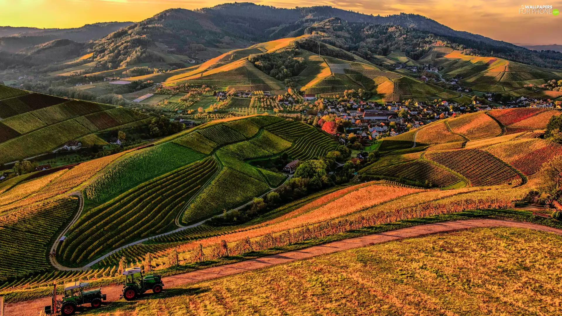 The Hills, vineyards, country, Houses, Mountains, field