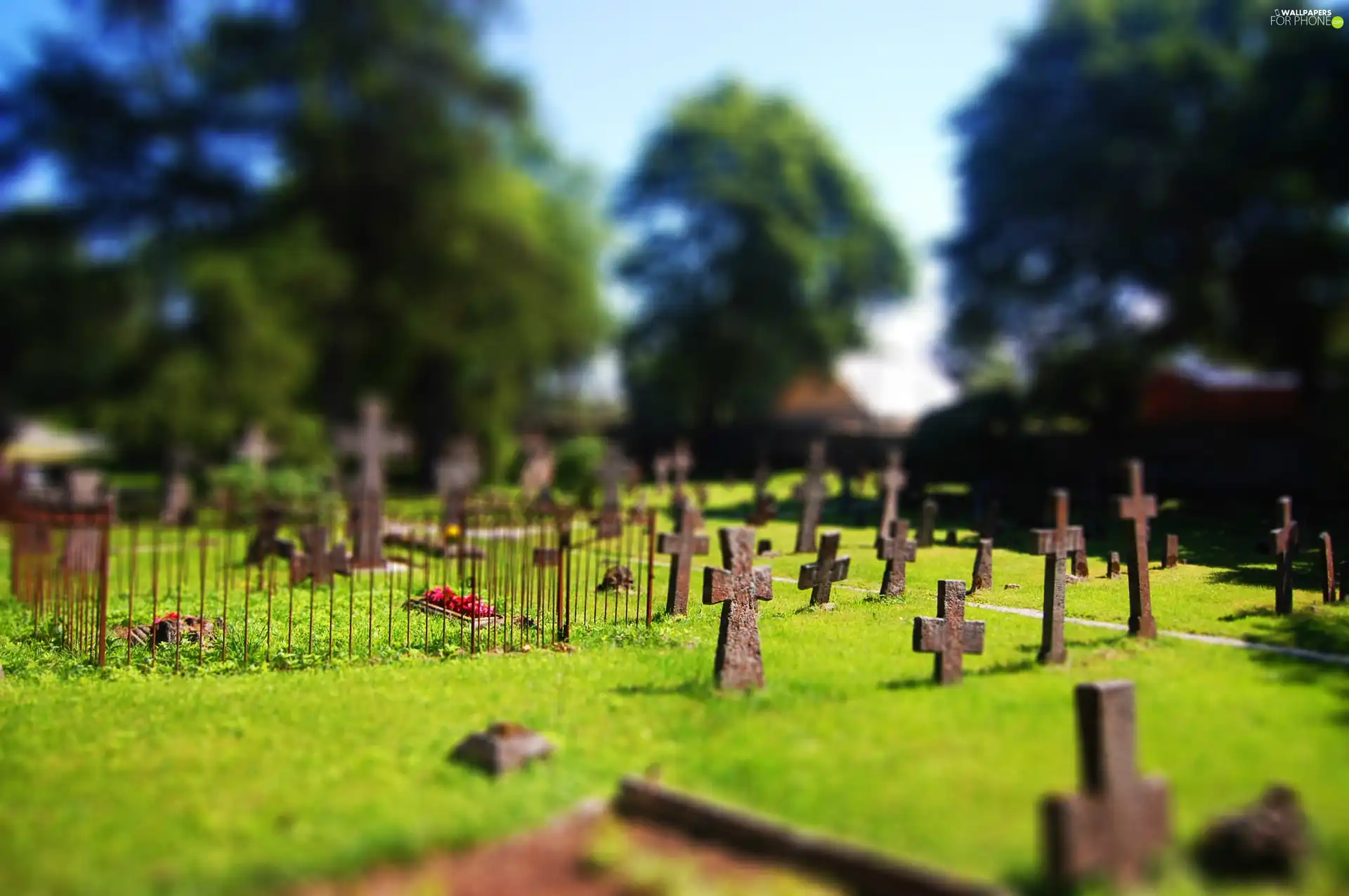 cemetery, Cross