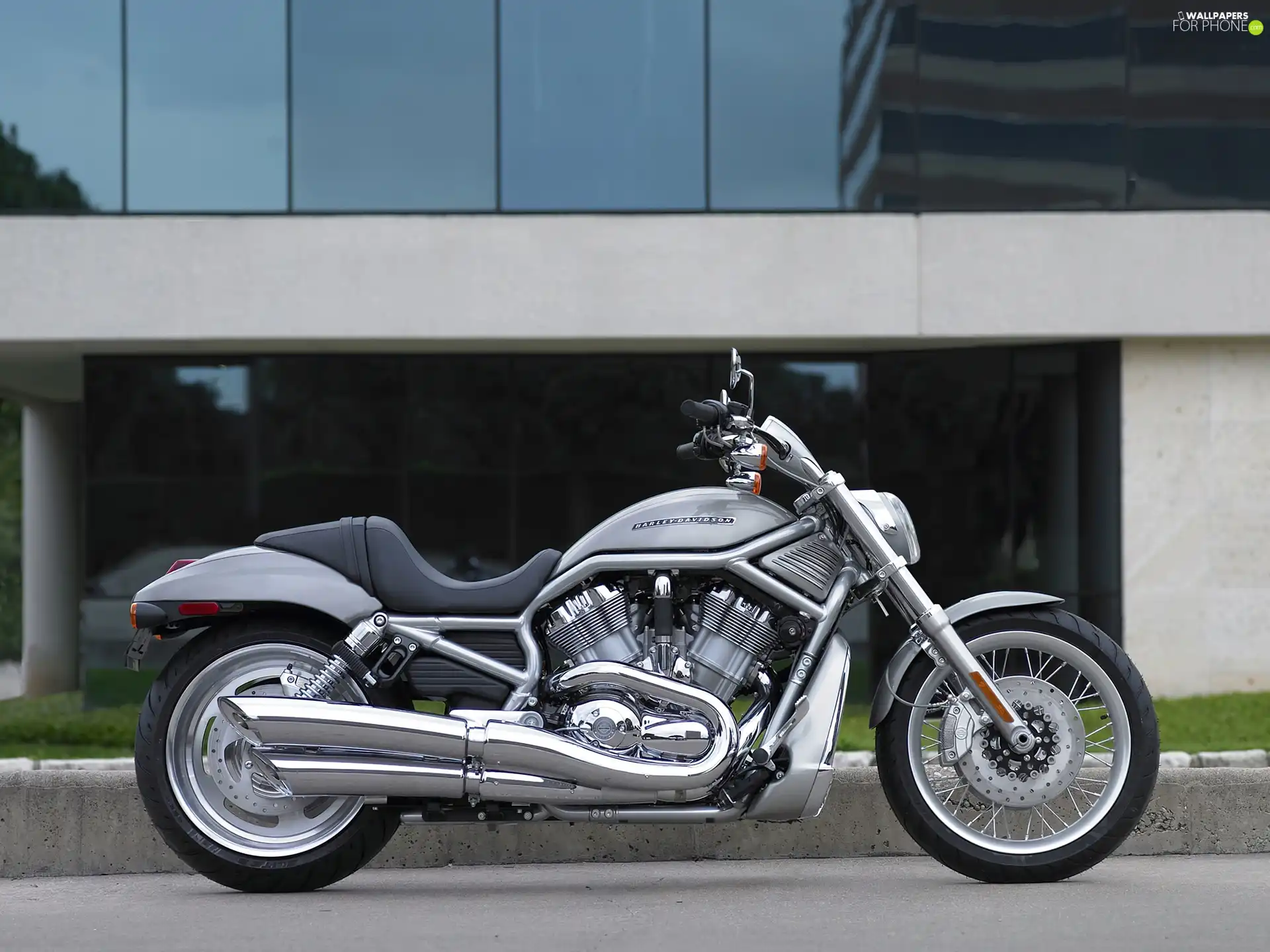 Harley Davidson V-Rod, silver, Cruiser