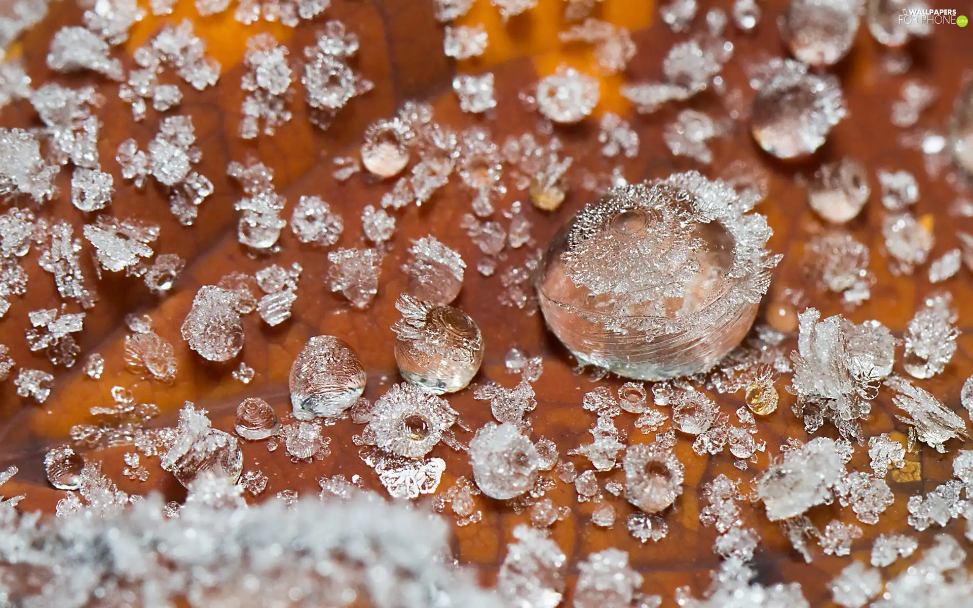 crystals, leaf, ice