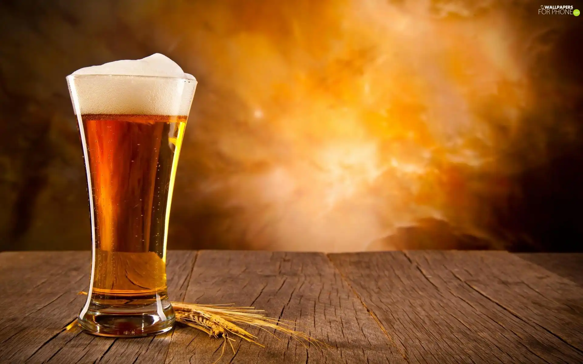Beer, cup