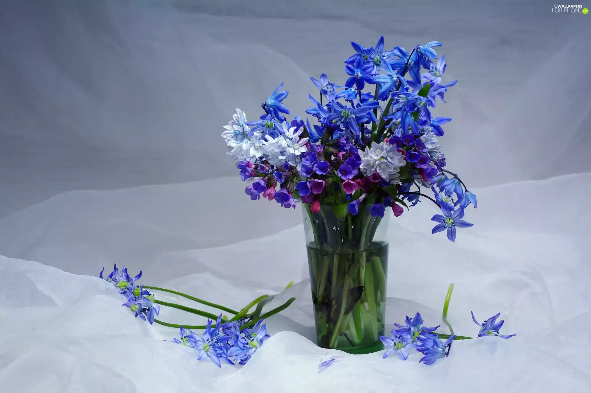 Flowers, bouquet, Lungwort, cup, squill, Blue