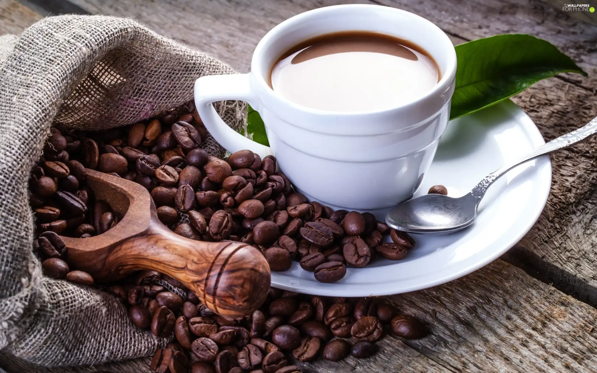 Cup, coffee, grains