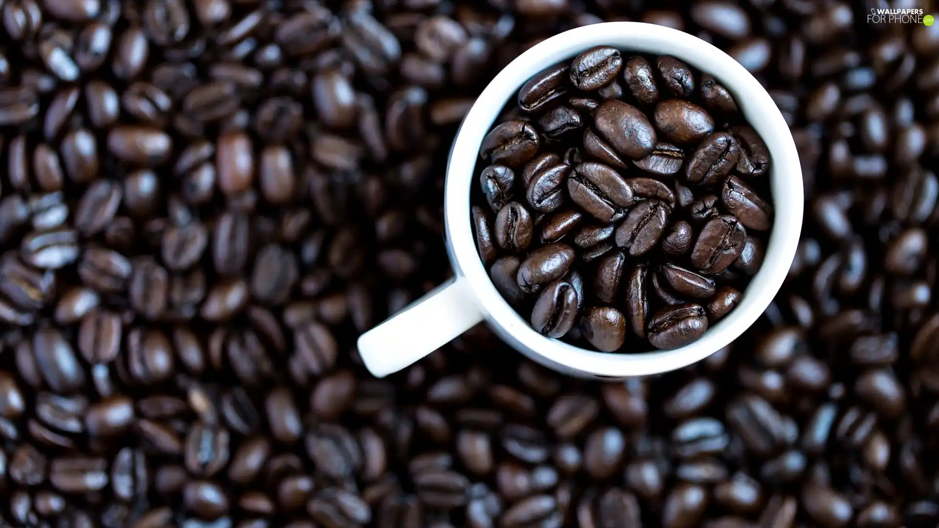 grains, White, cup, coffee