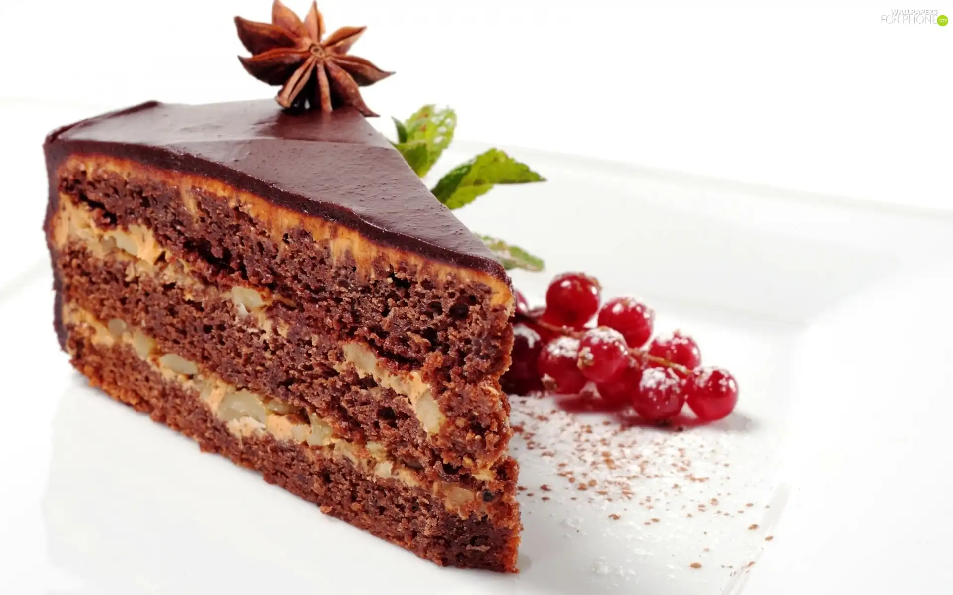 Currant, cake, chocolate