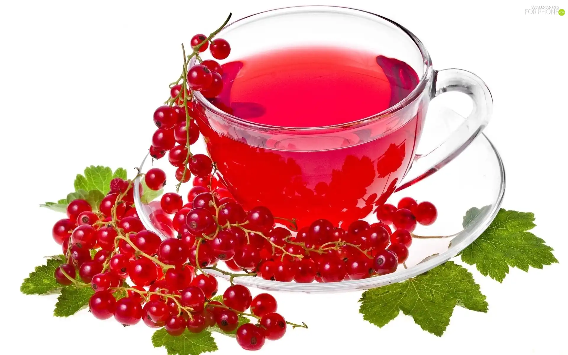 tea, red hot, currant, fruit
