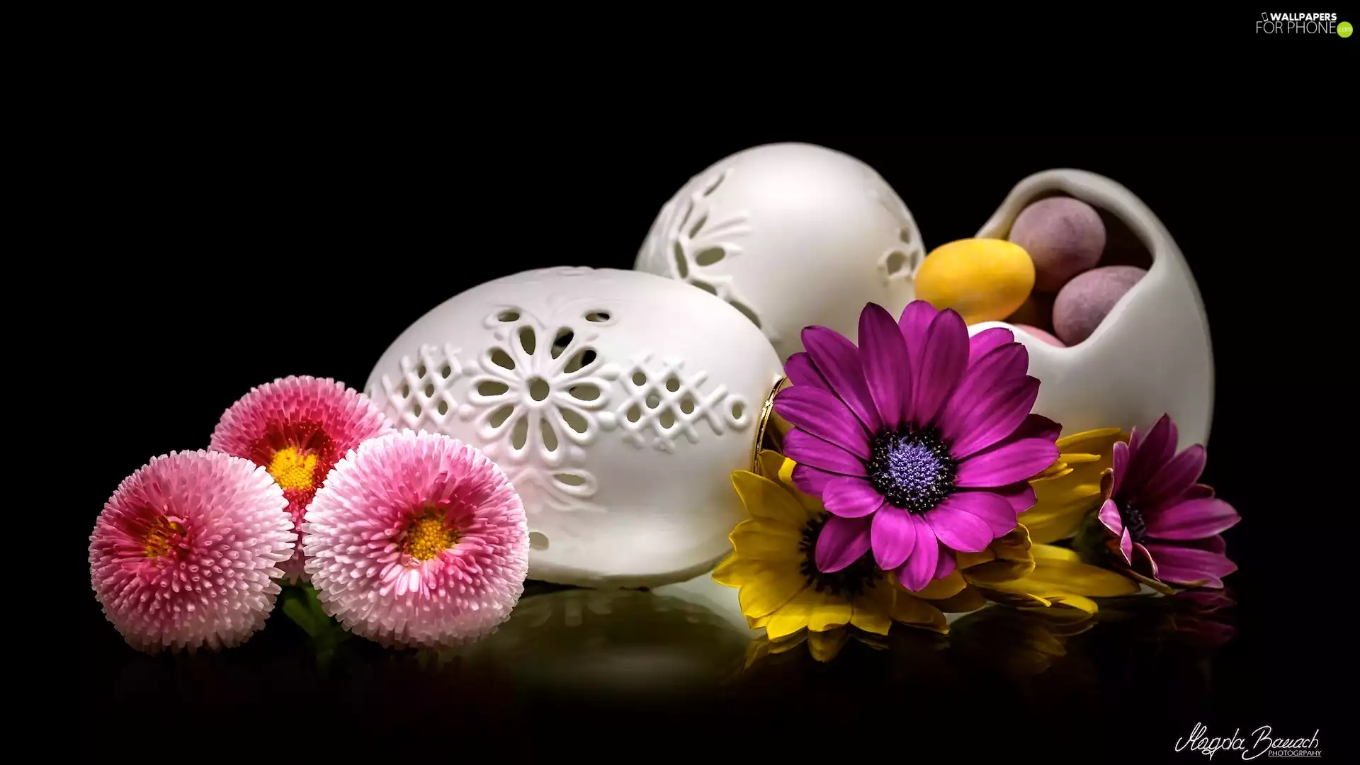 Openwork, eggs, background, Flowers, Black, Easter, composition, daisies
