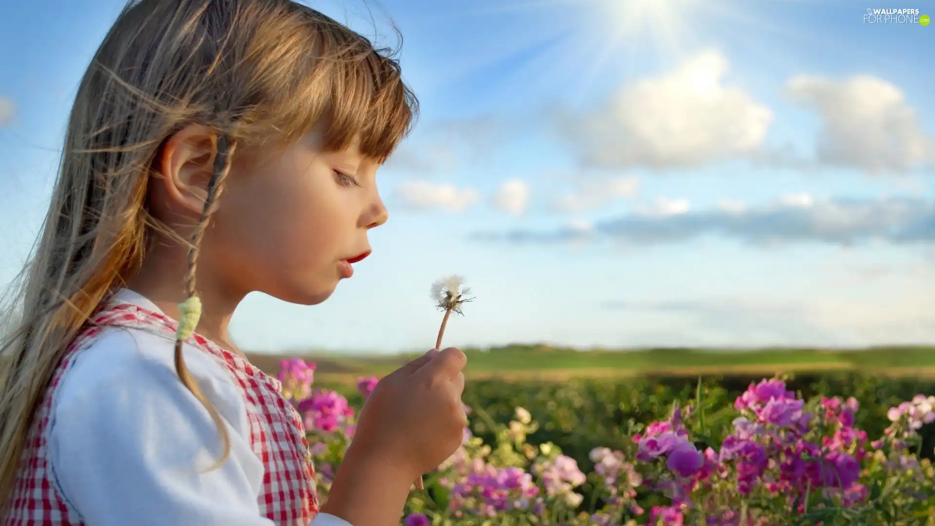 girl, Flowers, dandelion, Sky