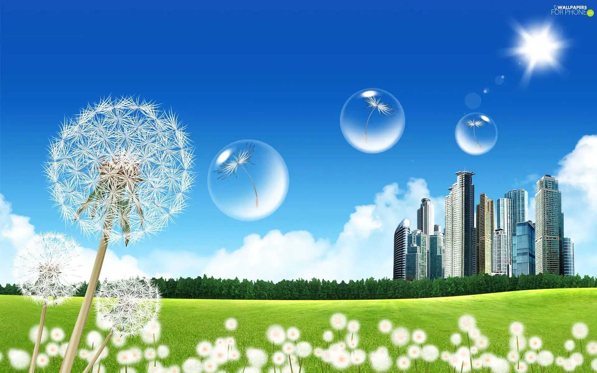 skyscrapers, interesting eyes, 3D Graphics, dandelions