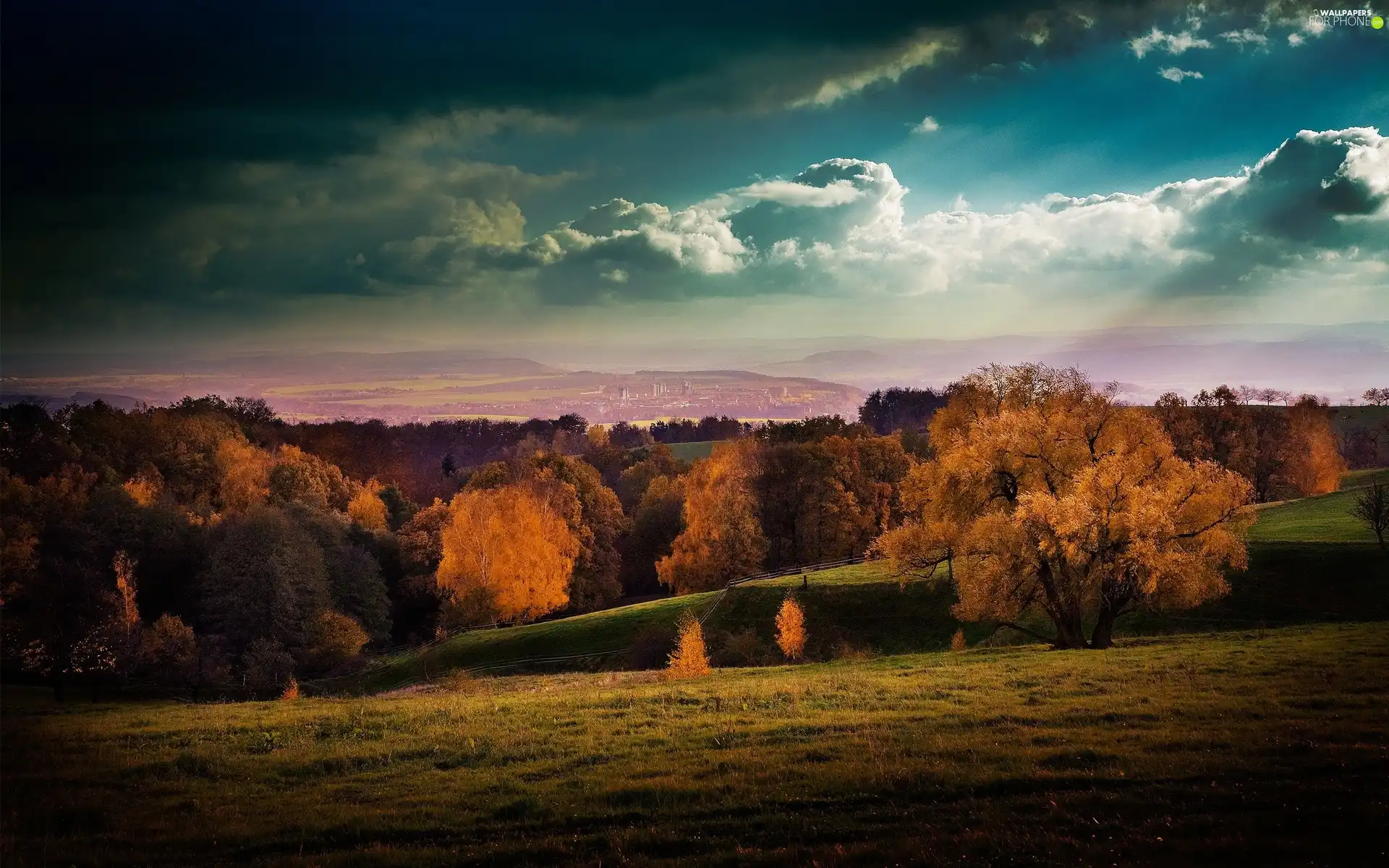 dark, clouds, thicket, trees, Meadow