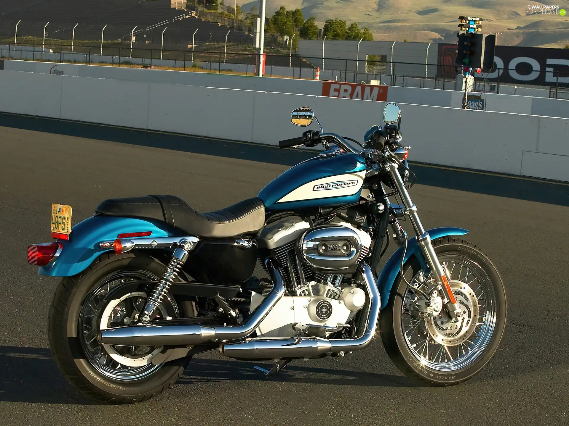 blue, HAND, Harley Davidson Sportster XL1200R, Right