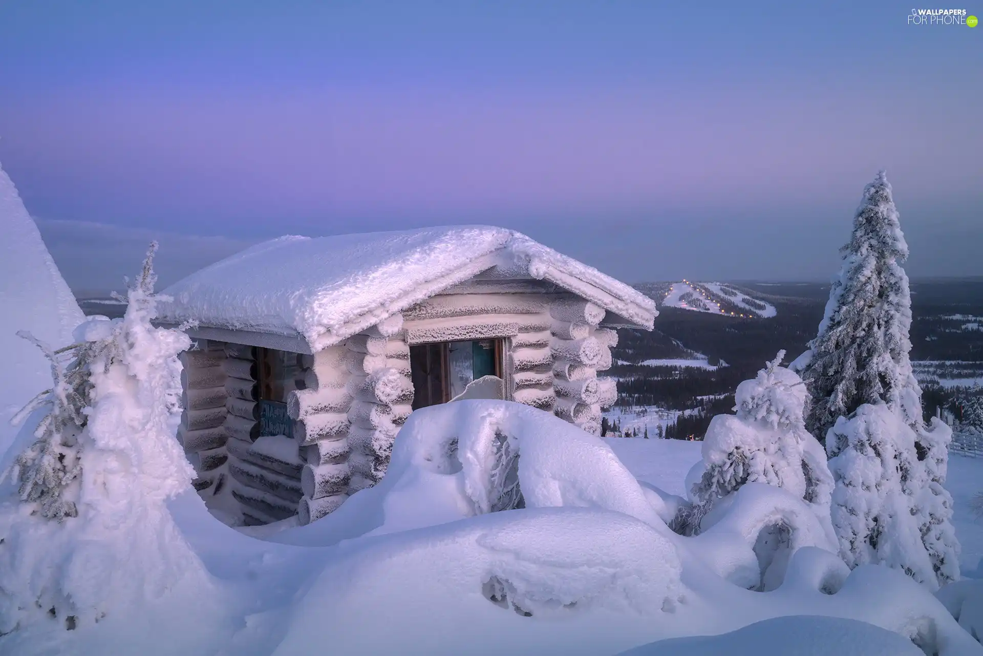 drifts, trees, morning, viewes, cottage, snow, winter, dawn