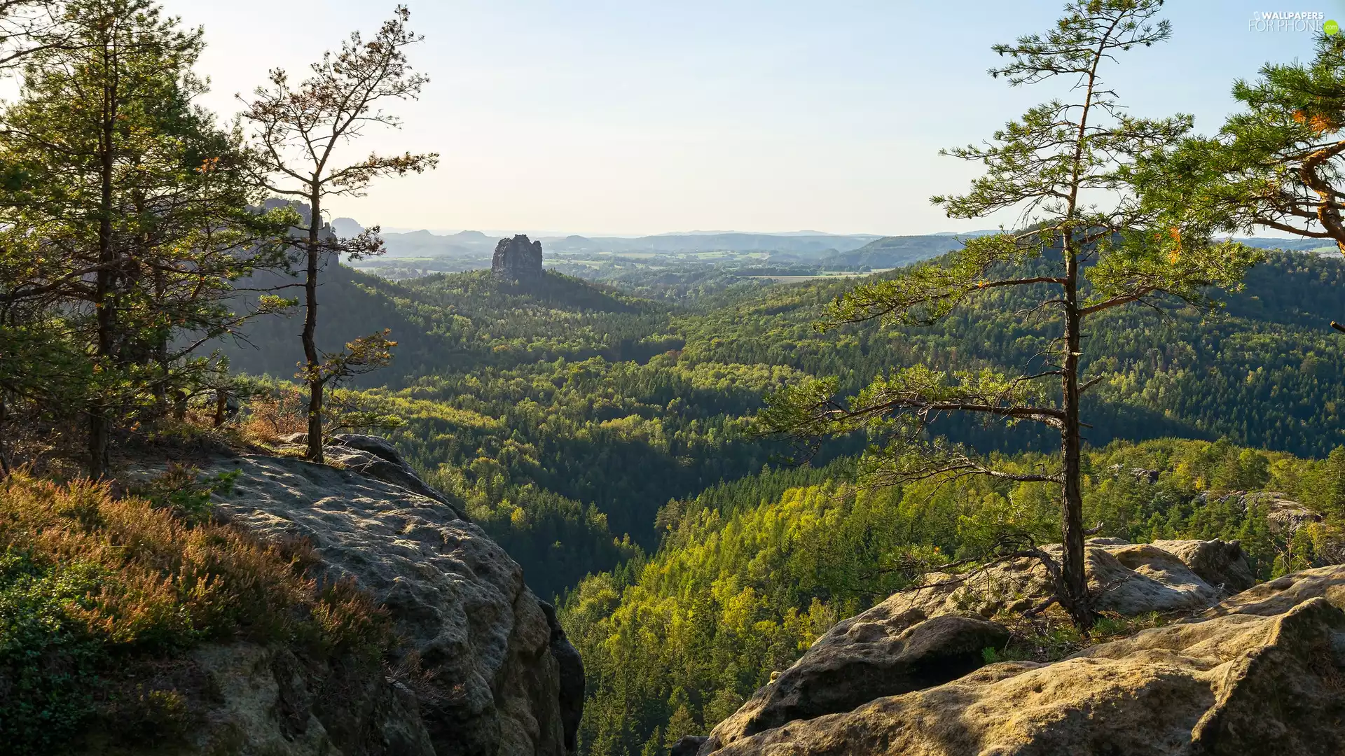 woods, Saxon Switzerland National Park, trees, Děčínská vrchovina, Germany, rocks, viewes
