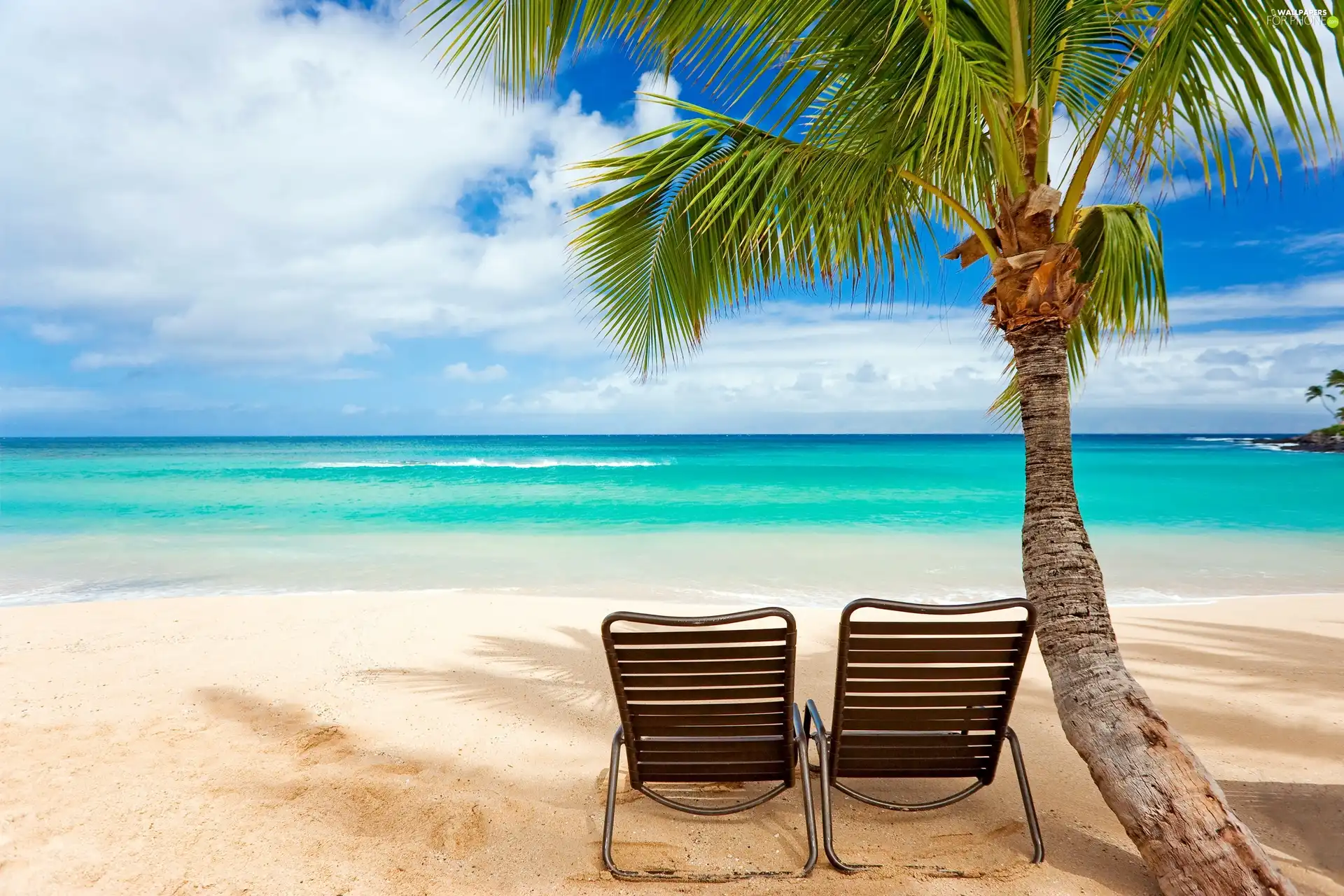 deck chair, holiday, Beaches, Palm, sea