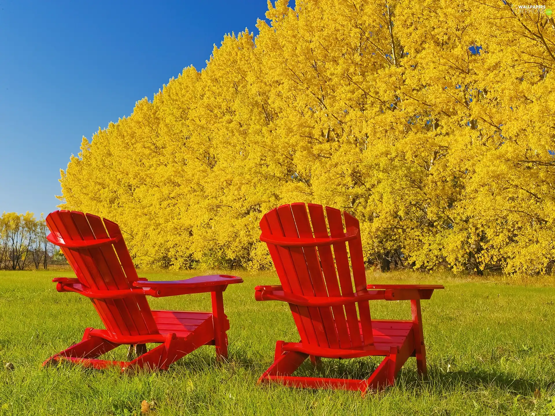 deck chair, Red, trees, viewes, Yellow, wood