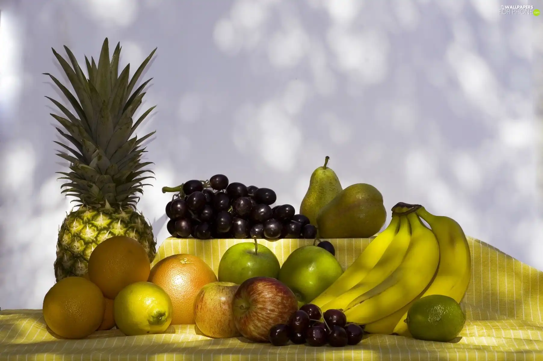 decoration, Fruits, arranged