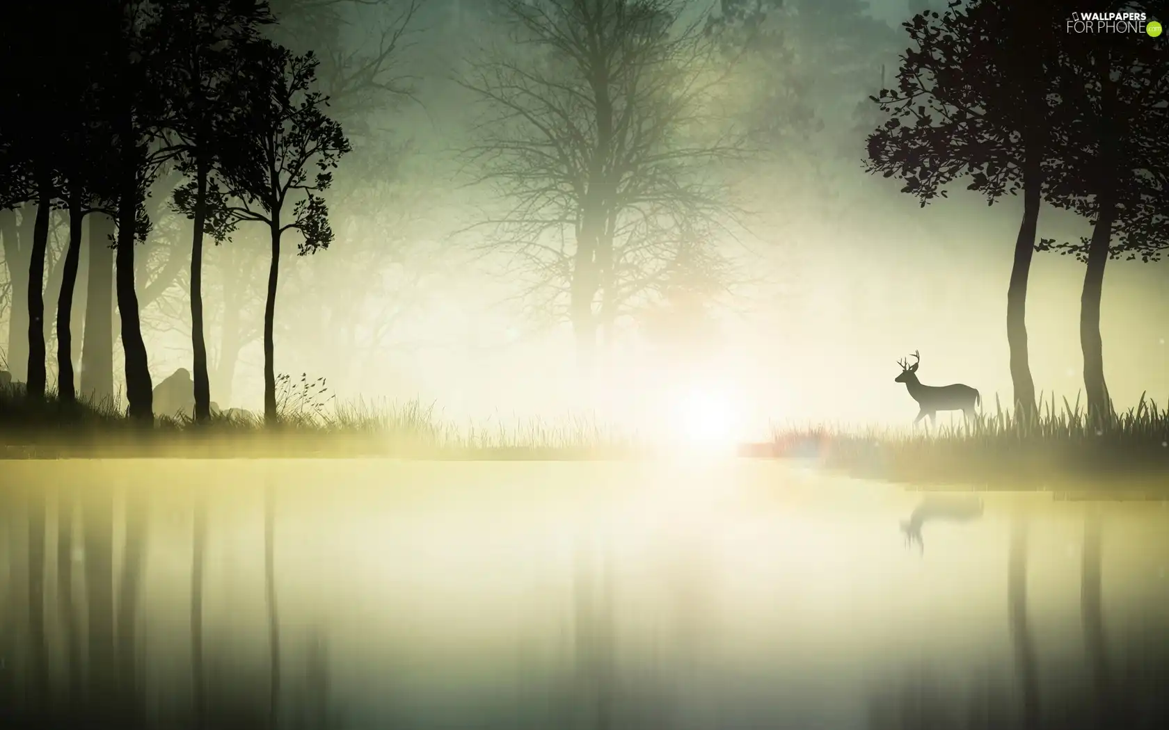 lake, forest, deer, Fog