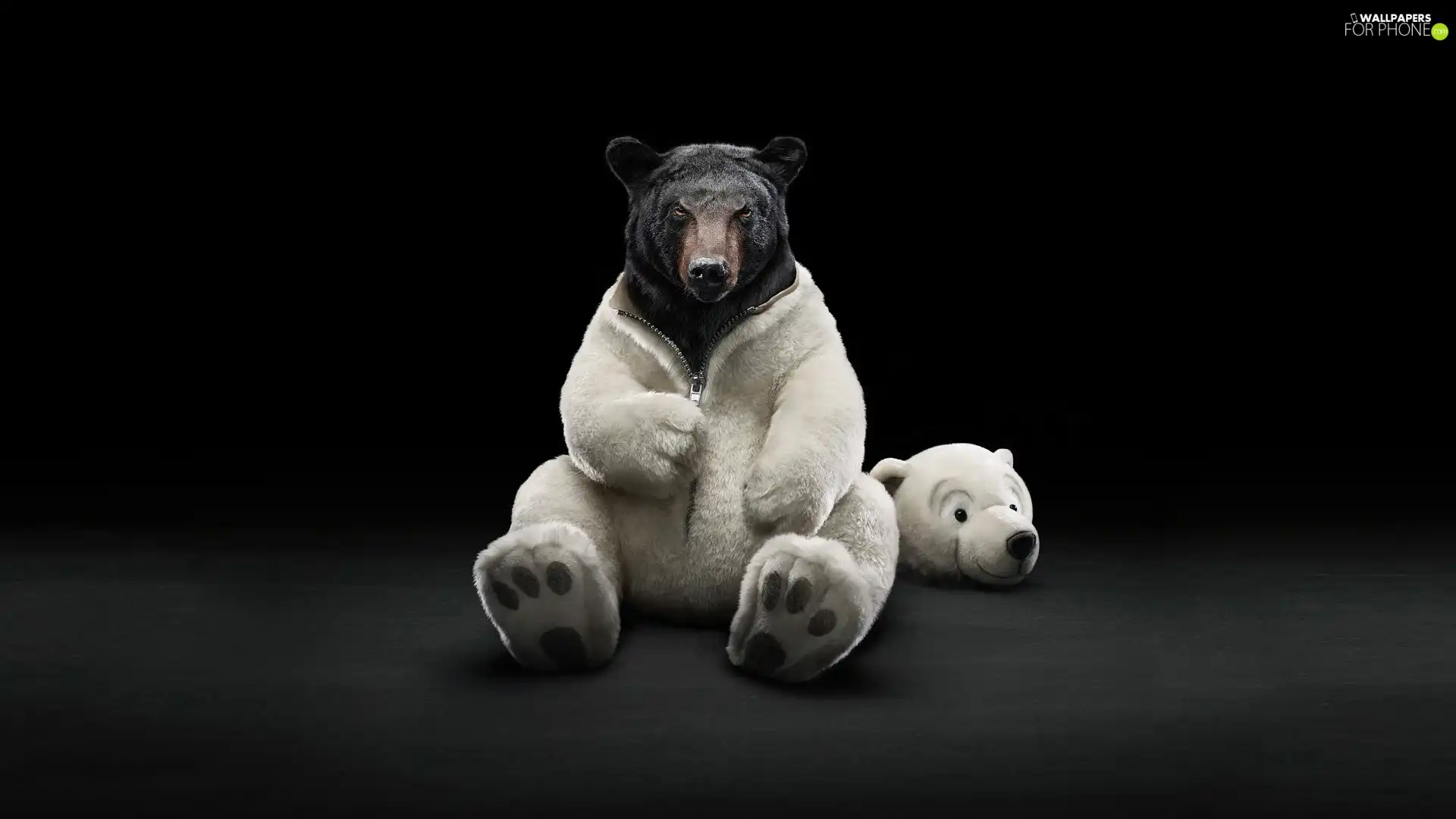 Bear, disguise